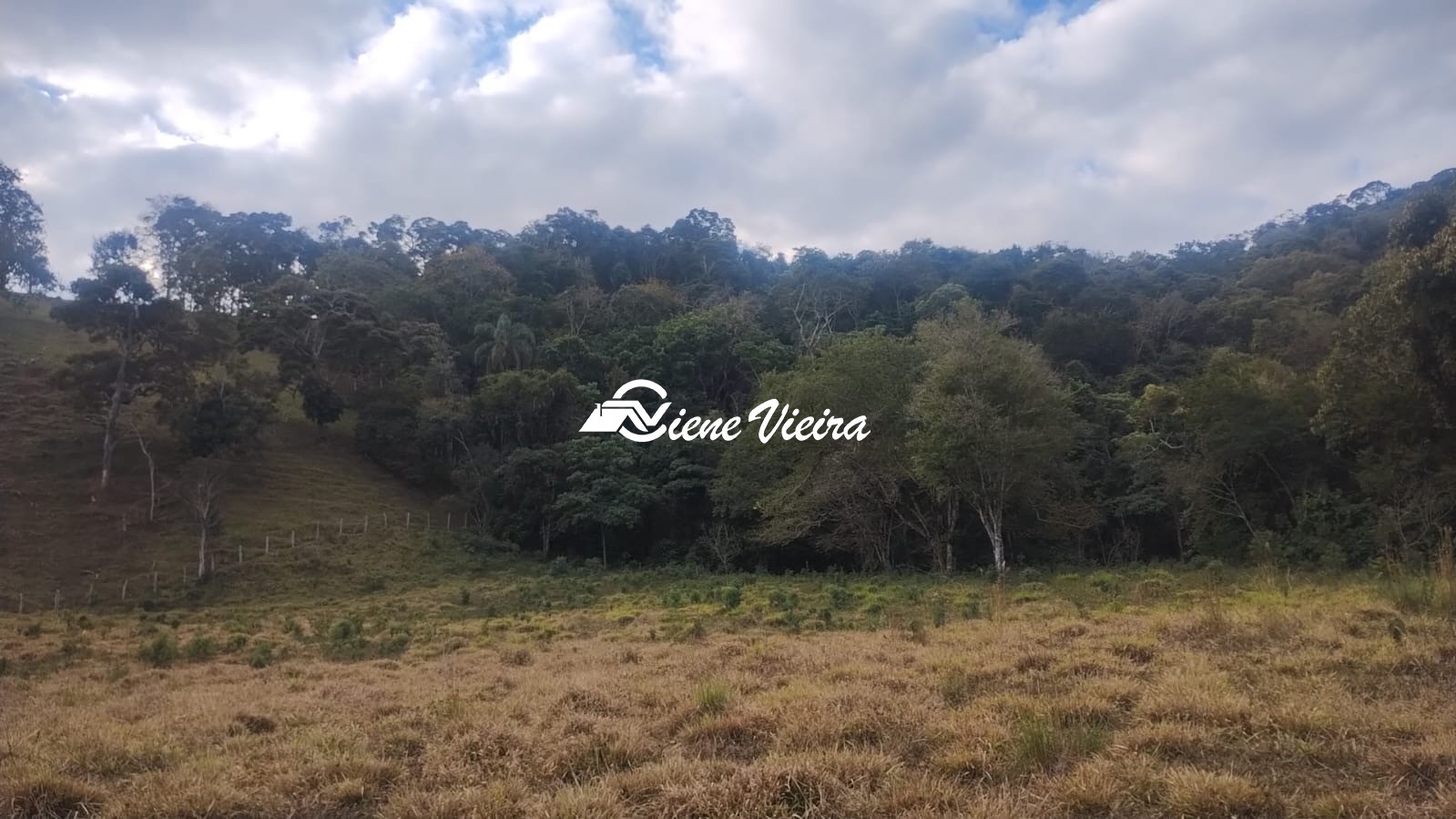Terreno, 6 hectares - Foto 14