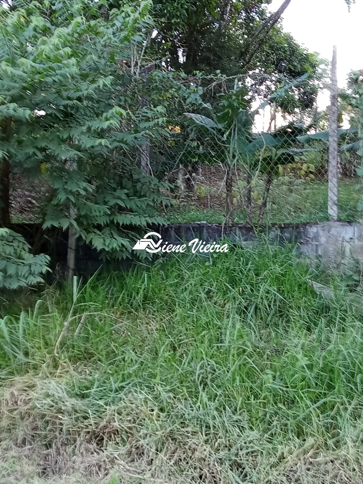 Terreno, 1300 m² - Foto 8