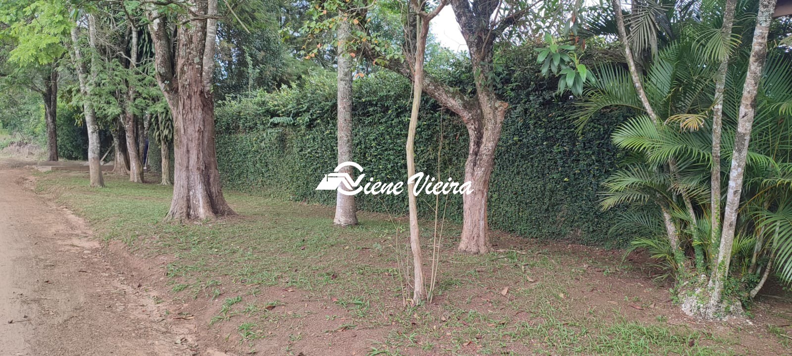 Chácara, 3 quartos, 6000 m² - Foto 14