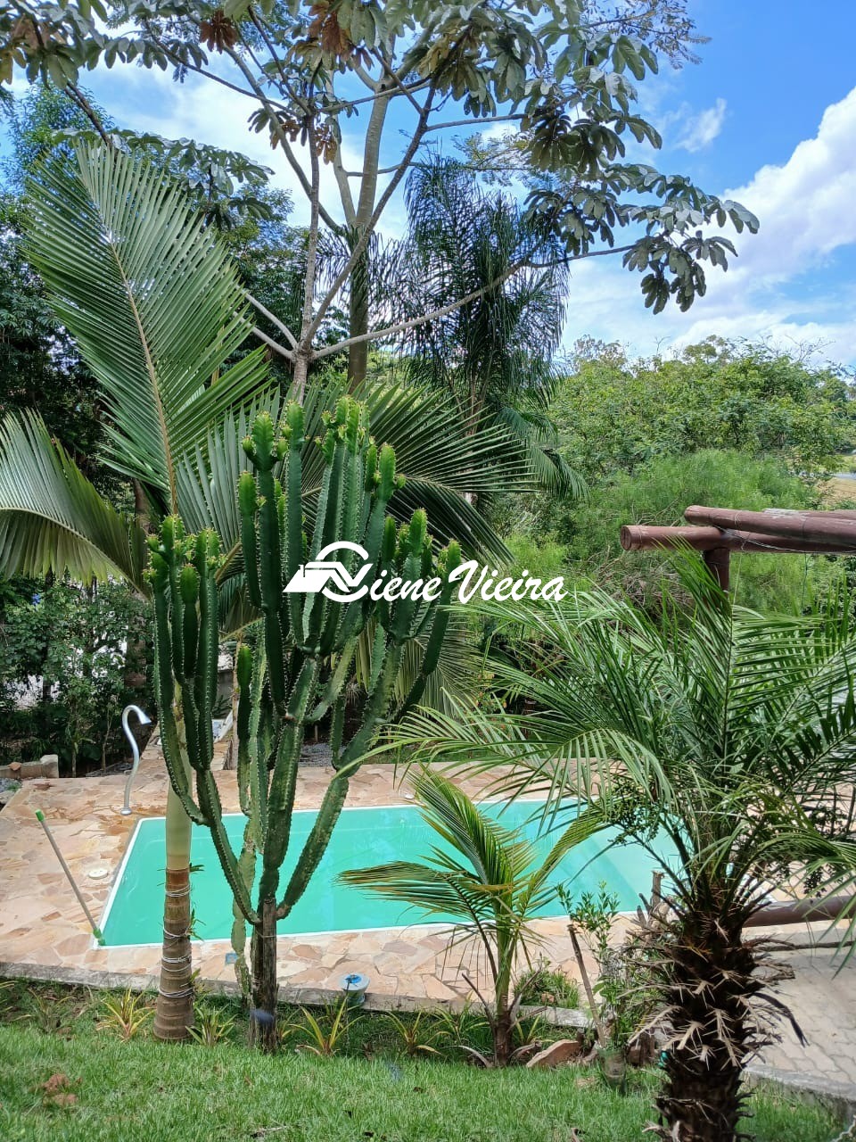 Chácara, 3 quartos, 960 m² - Foto 8