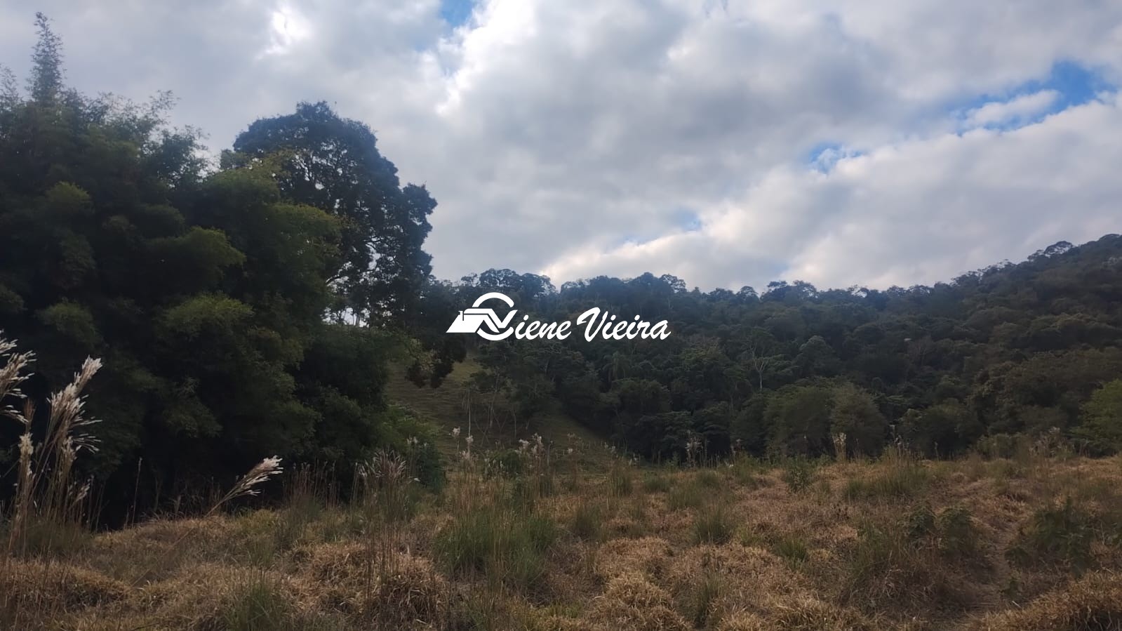 Terreno, 6 hectares - Foto 6