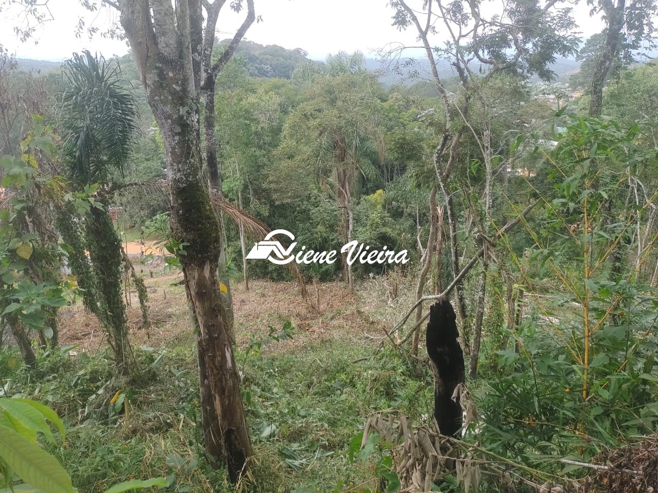 Terreno, 1139 m² - Foto 2