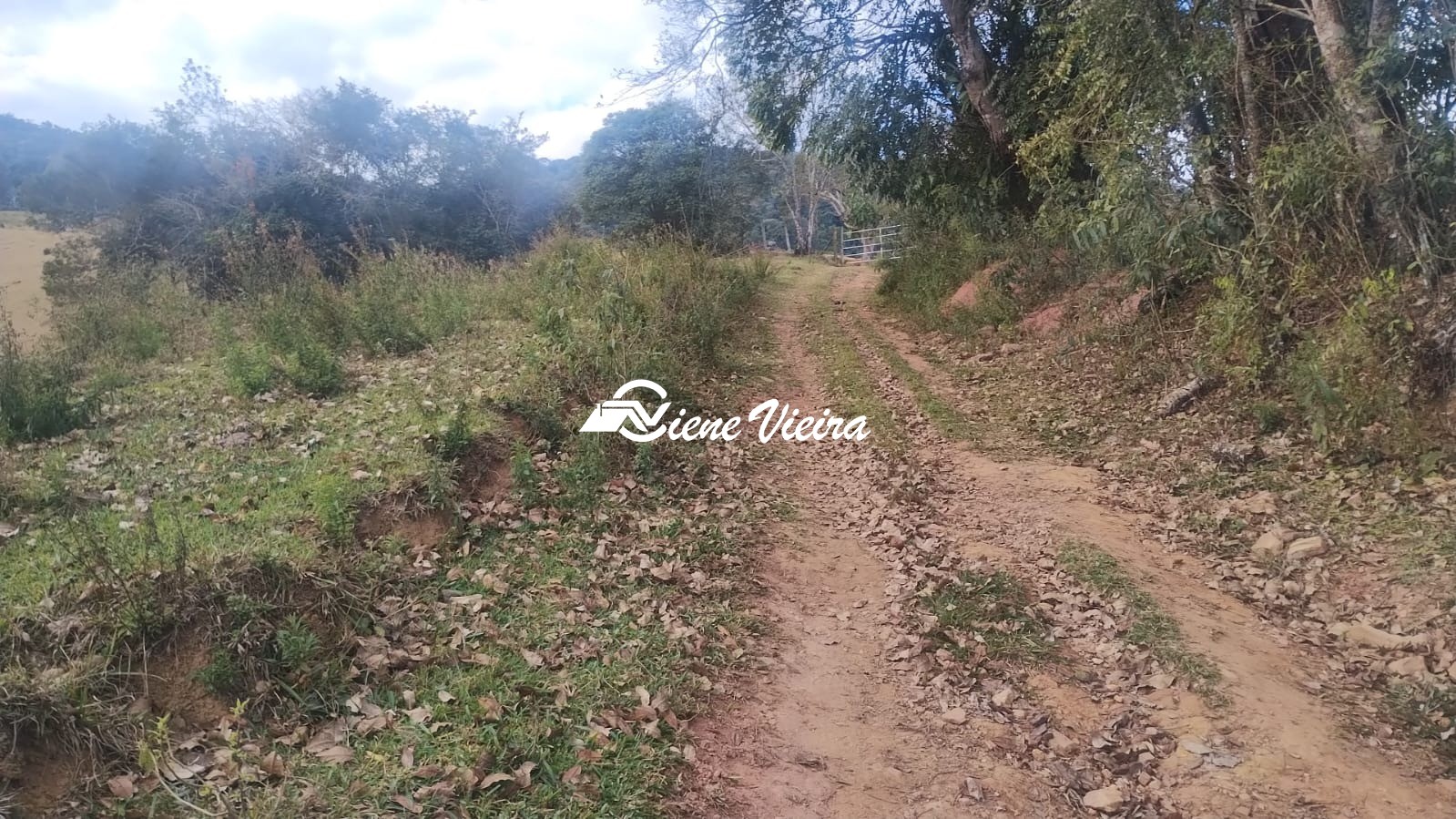 Terreno, 6 hectares - Foto 10