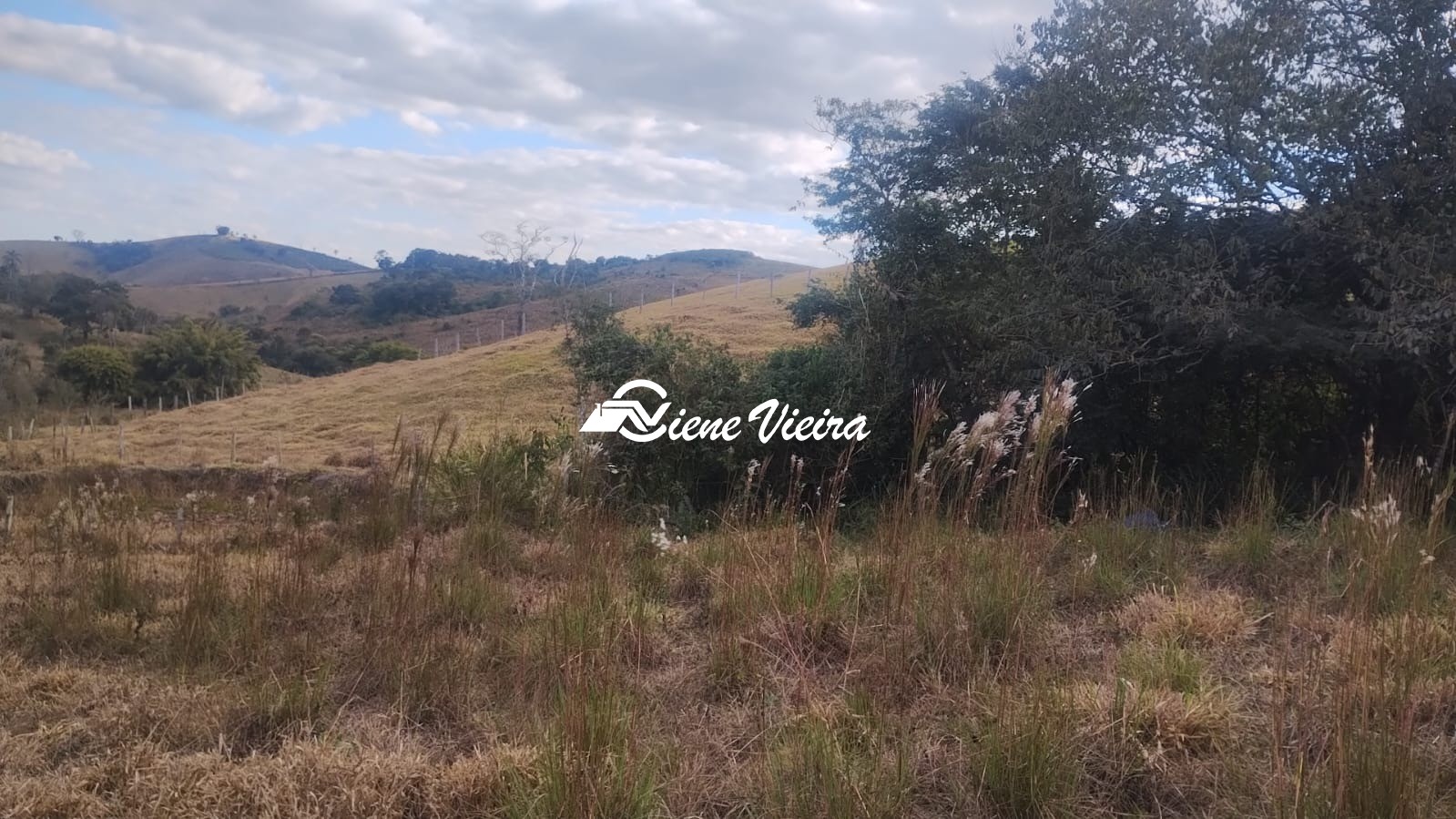 Terreno, 6 hectares - Foto 9