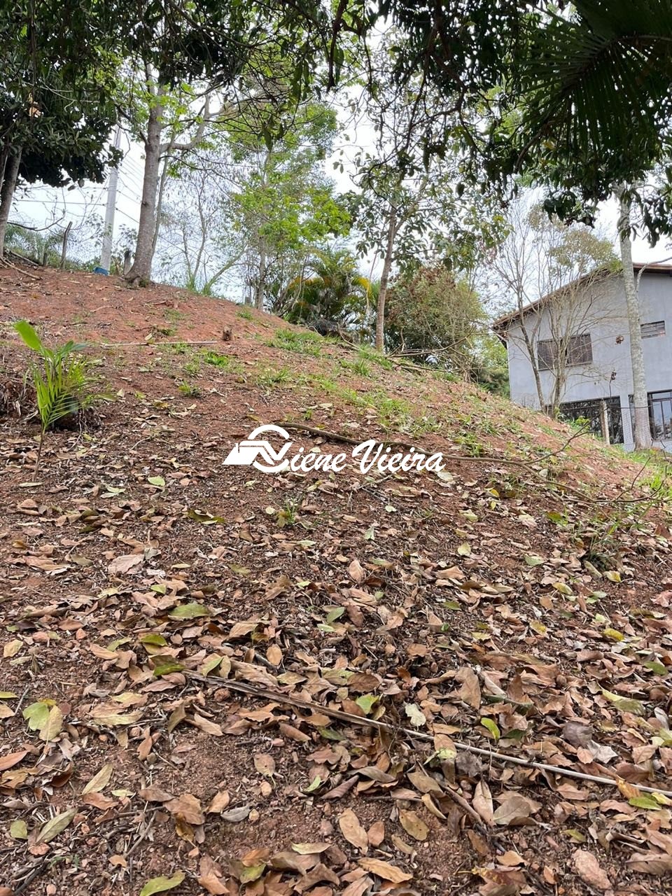 Terreno, 1000 m² - Foto 5