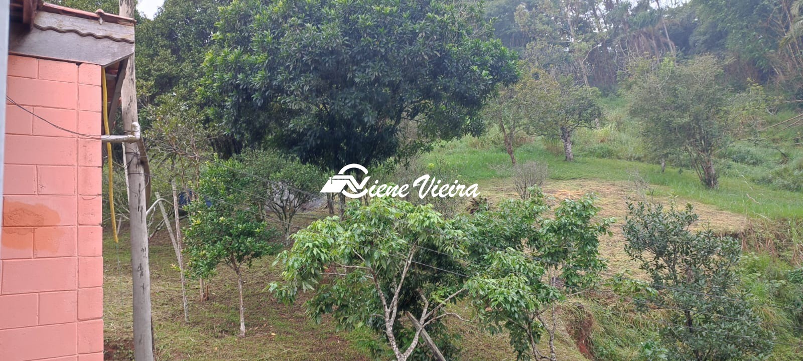 Chácara, 6 quartos, 2 hectares - Foto 12