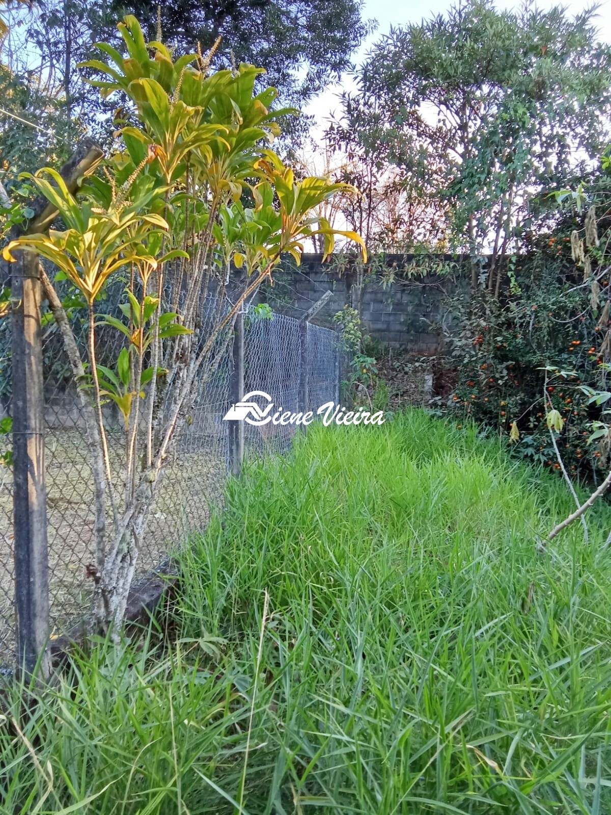 Terreno, 1300 m² - Foto 7