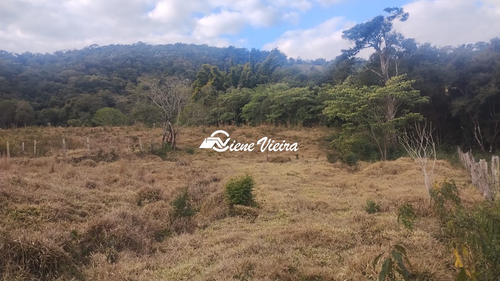 Terreno, 6 hectares - Foto 8