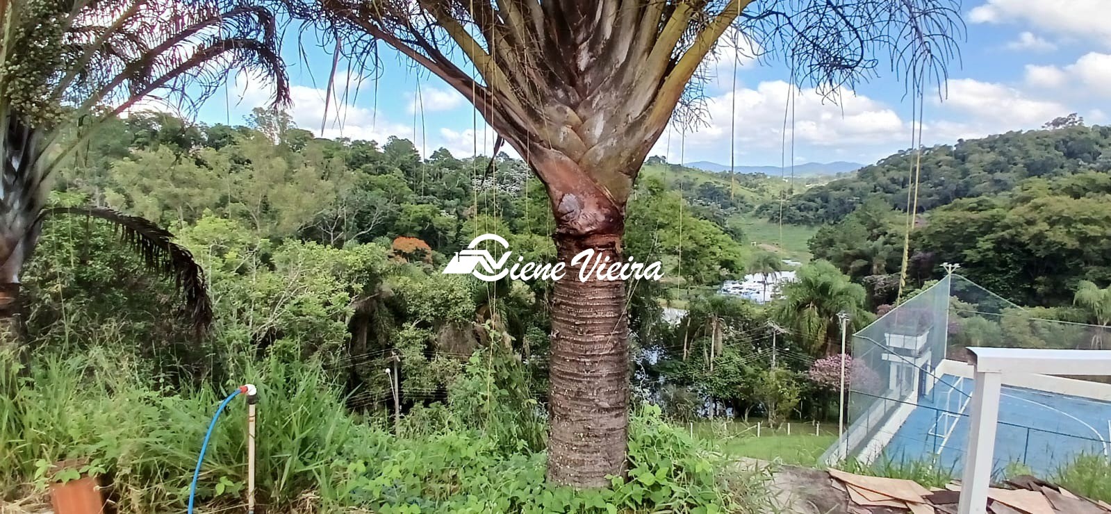 Chácara, 4 quartos, 6800 m² - Foto 18