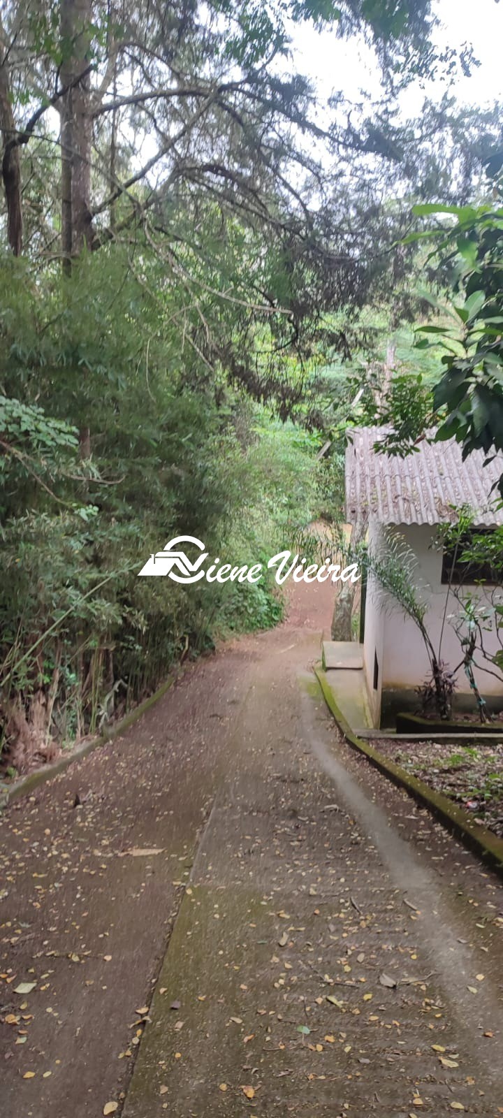 Chácara, 3 quartos, 6000 m² - Foto 18