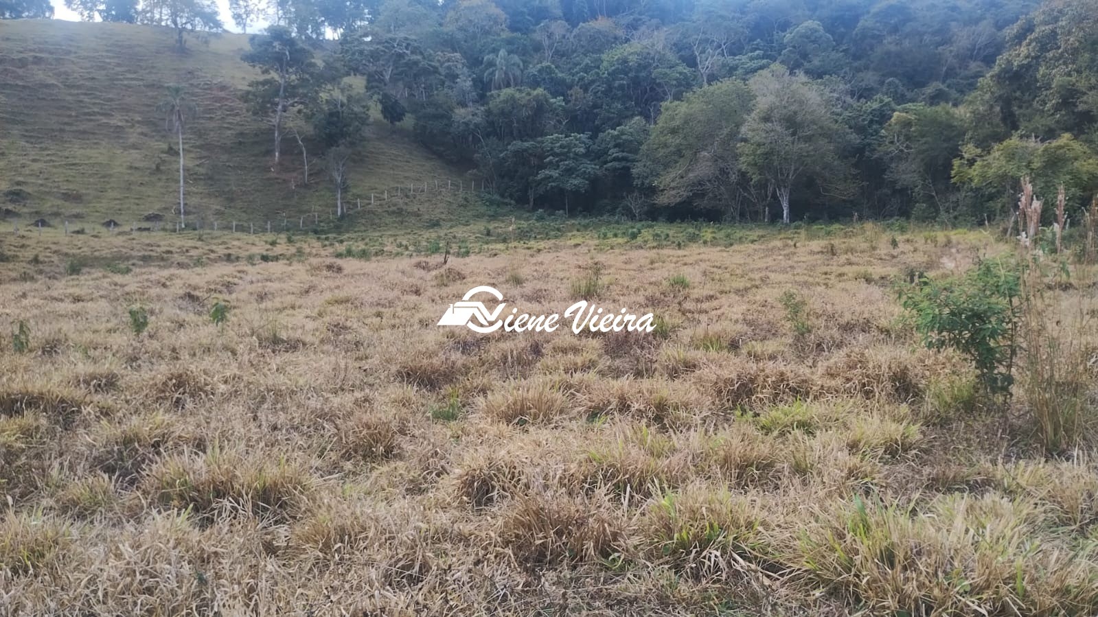 Terreno, 6 hectares - Foto 13