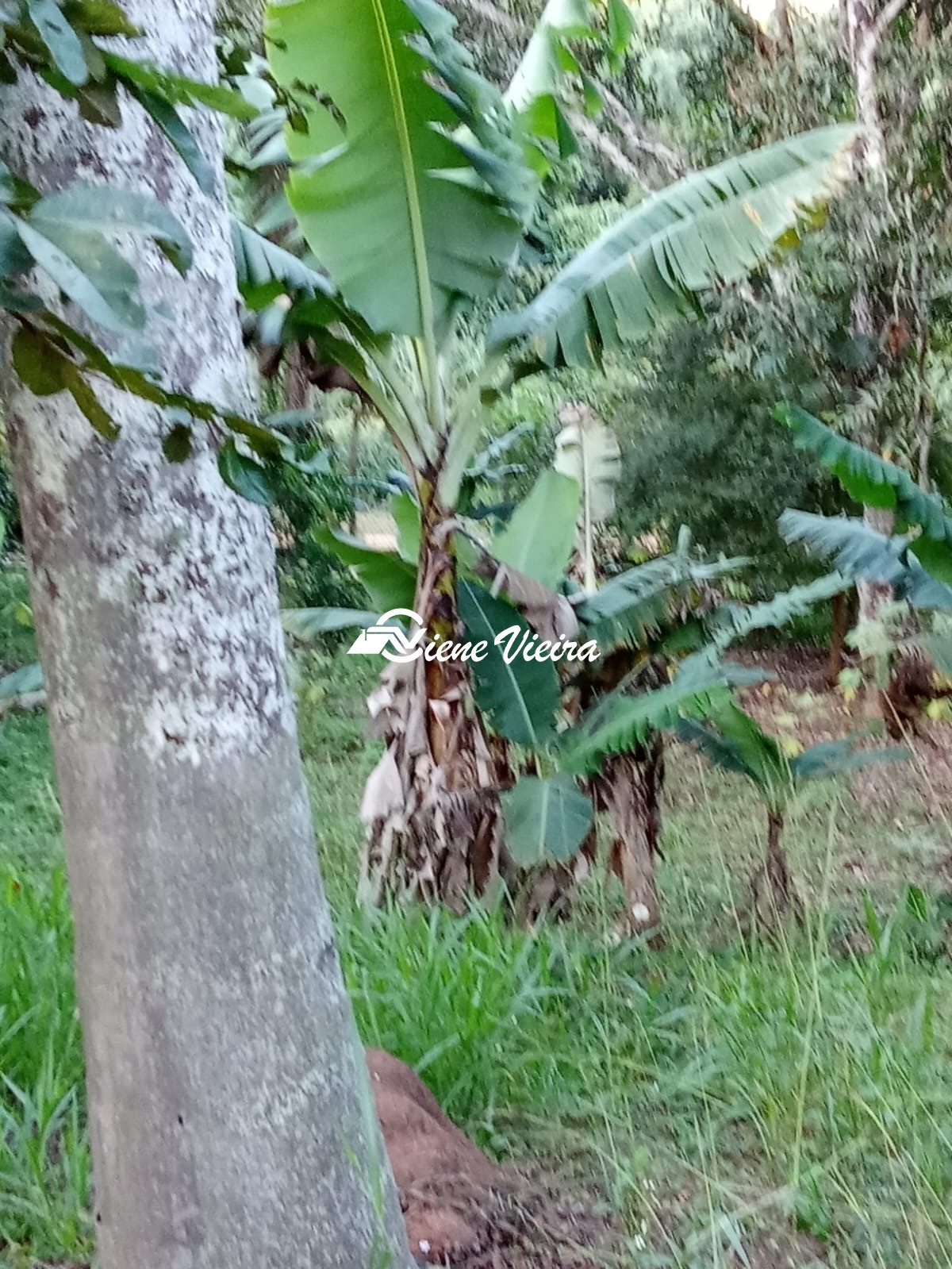 Terreno, 1300 m² - Foto 5