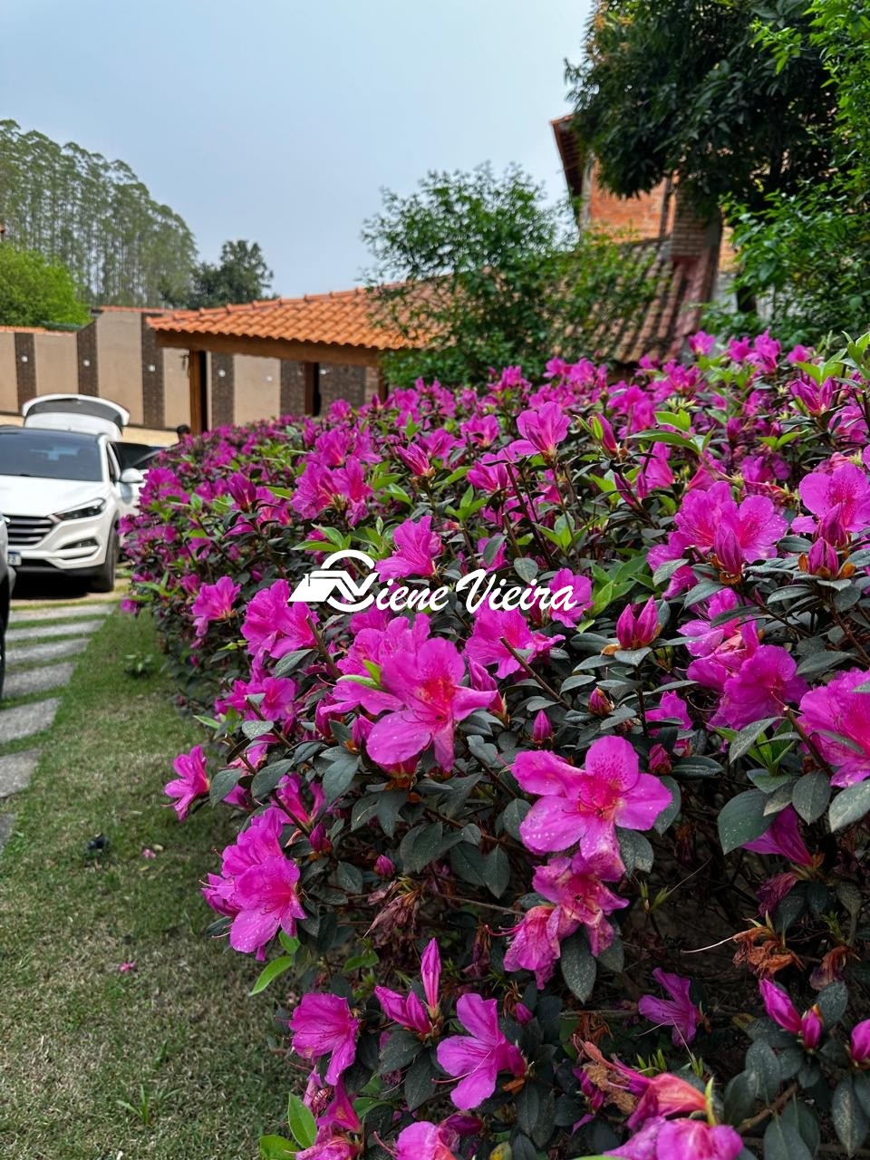 Chácara, 3 quartos, 1080 m² - Foto 12