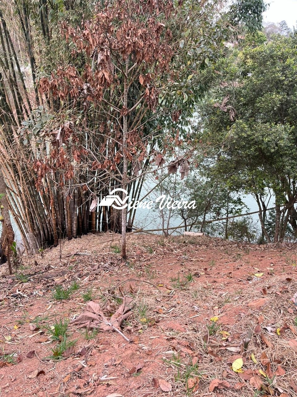 Terreno, 1000 m² - Foto 2