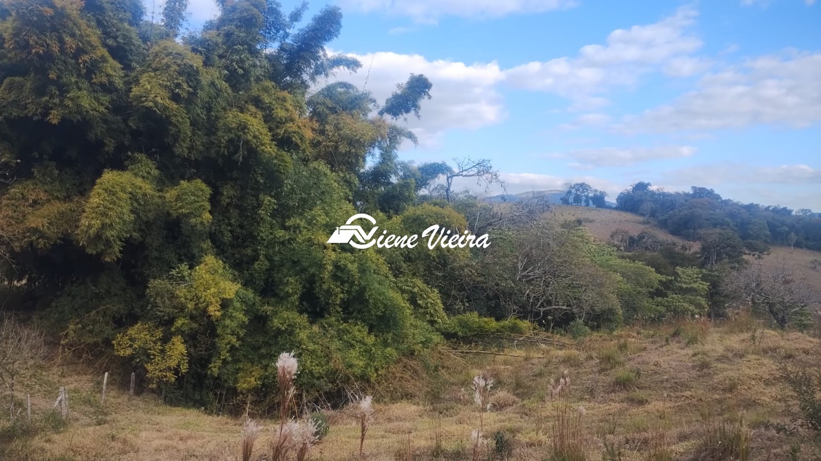 Terreno, 6 hectares - Foto 12