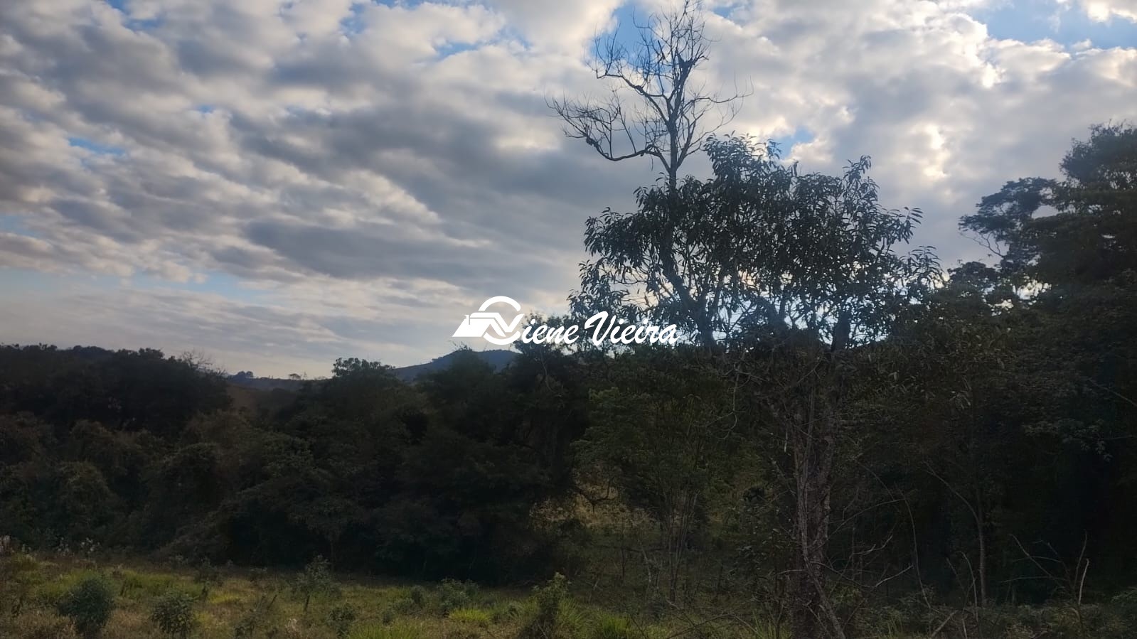 Terreno, 6 hectares - Foto 17