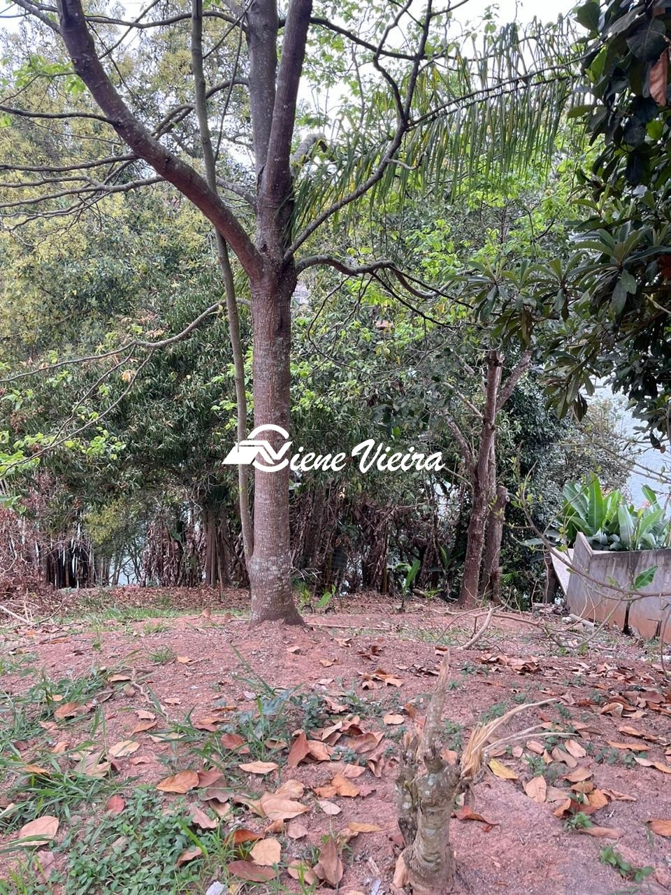 Terreno, 1000 m² - Foto 8