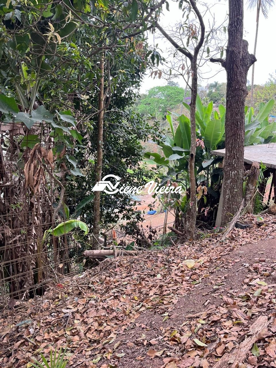 Terreno, 1000 m² - Foto 3