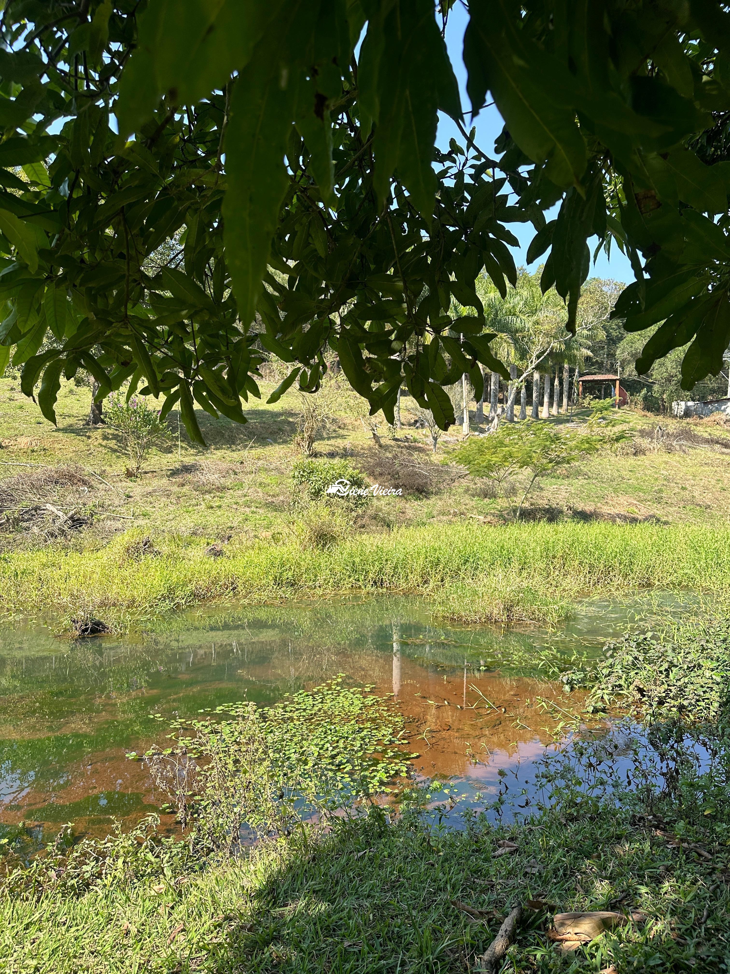 Chácara, 2 quartos, 3 hectares - Foto 14