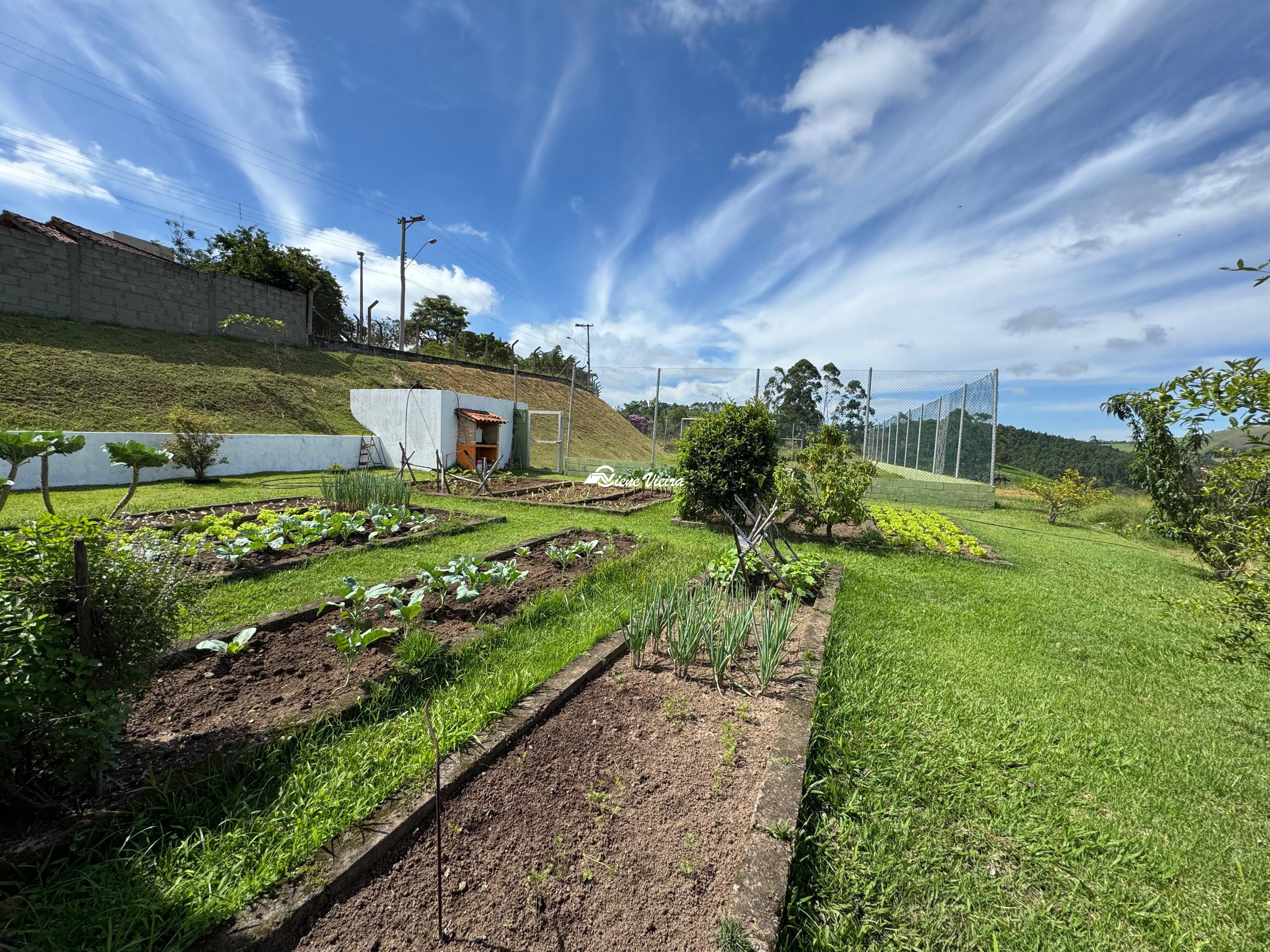 Chácara, 4 quartos, 2 hectares - Foto 7