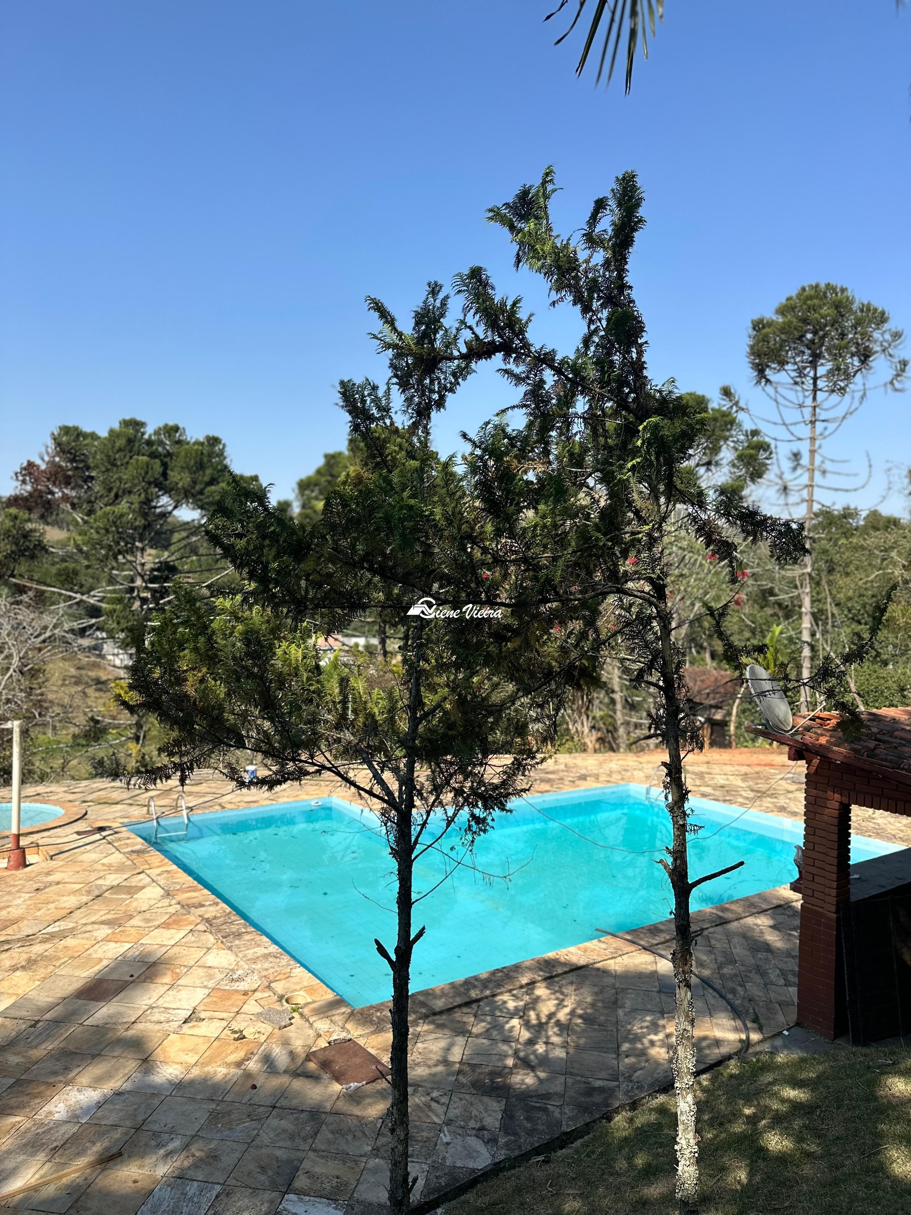 Chácara, 2 quartos, 3 hectares - Foto 4
