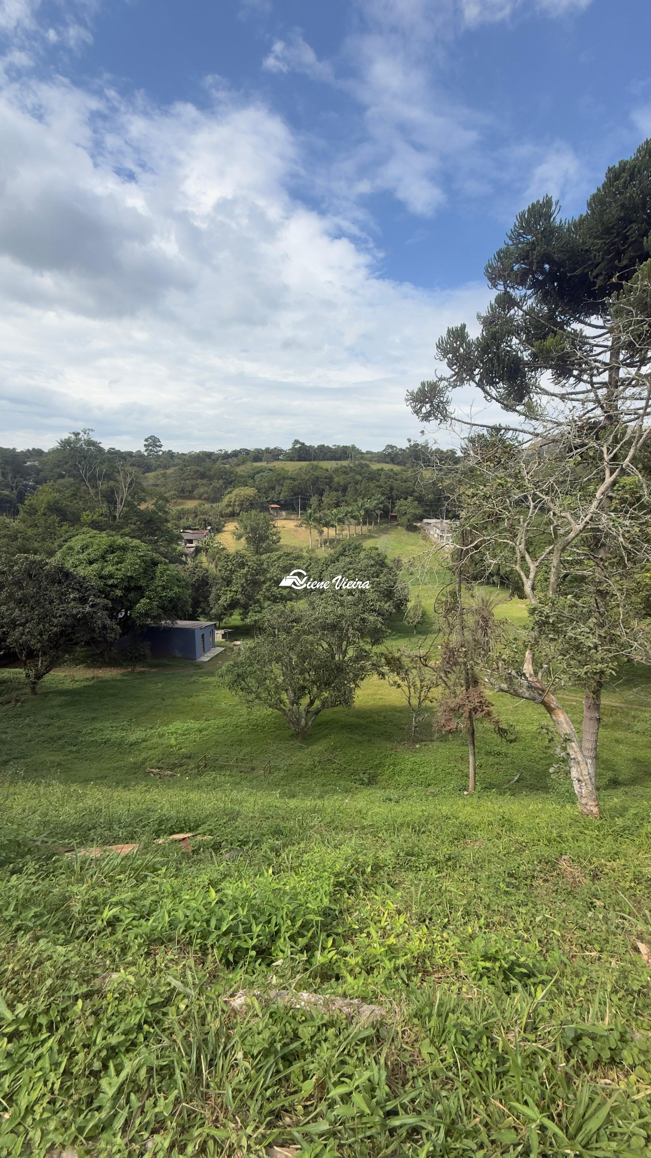 Chácara, 2 quartos, 3 hectares - Foto 9