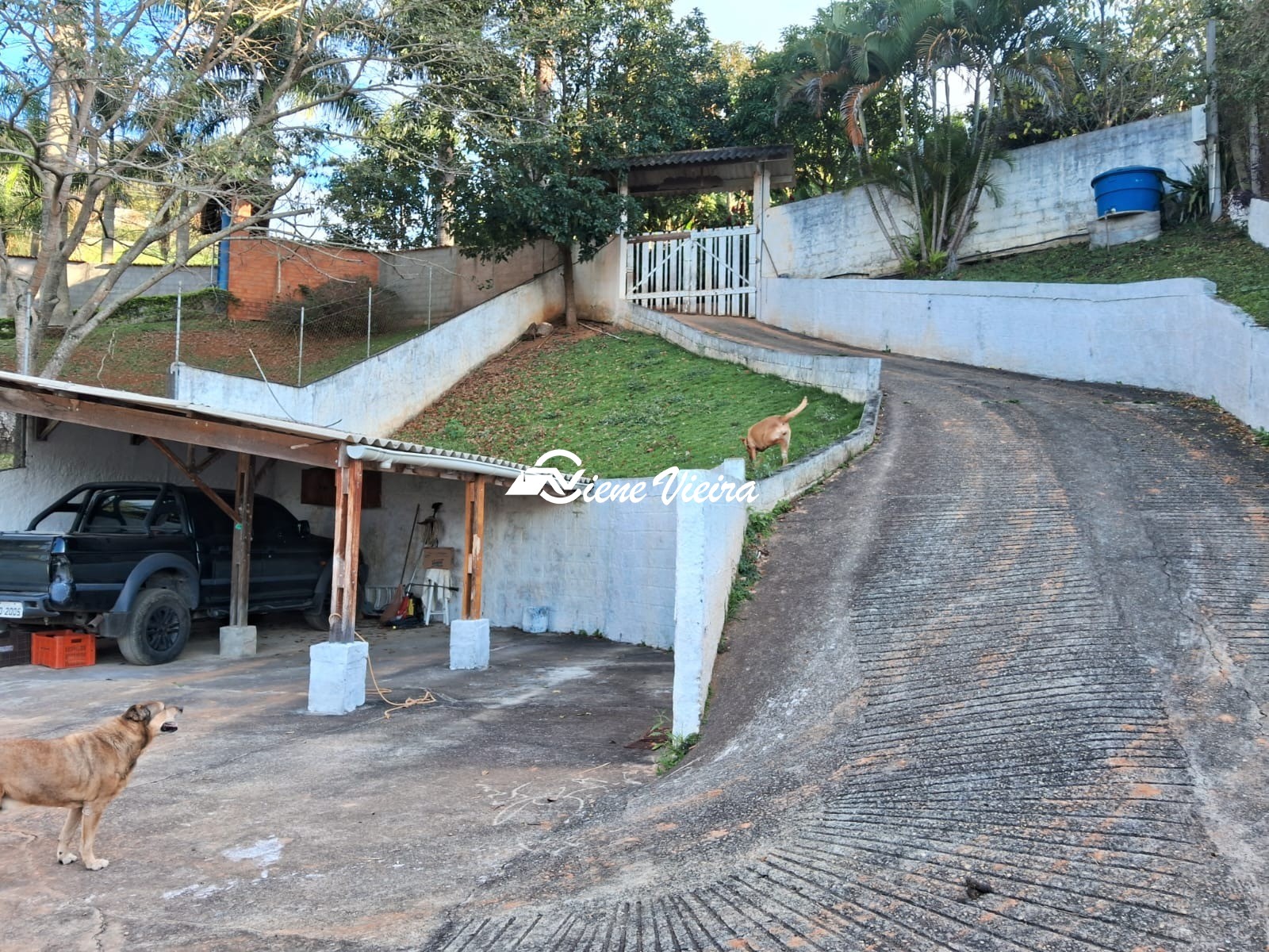 Chácara, 4 quartos, 1100 m² - Foto 9
