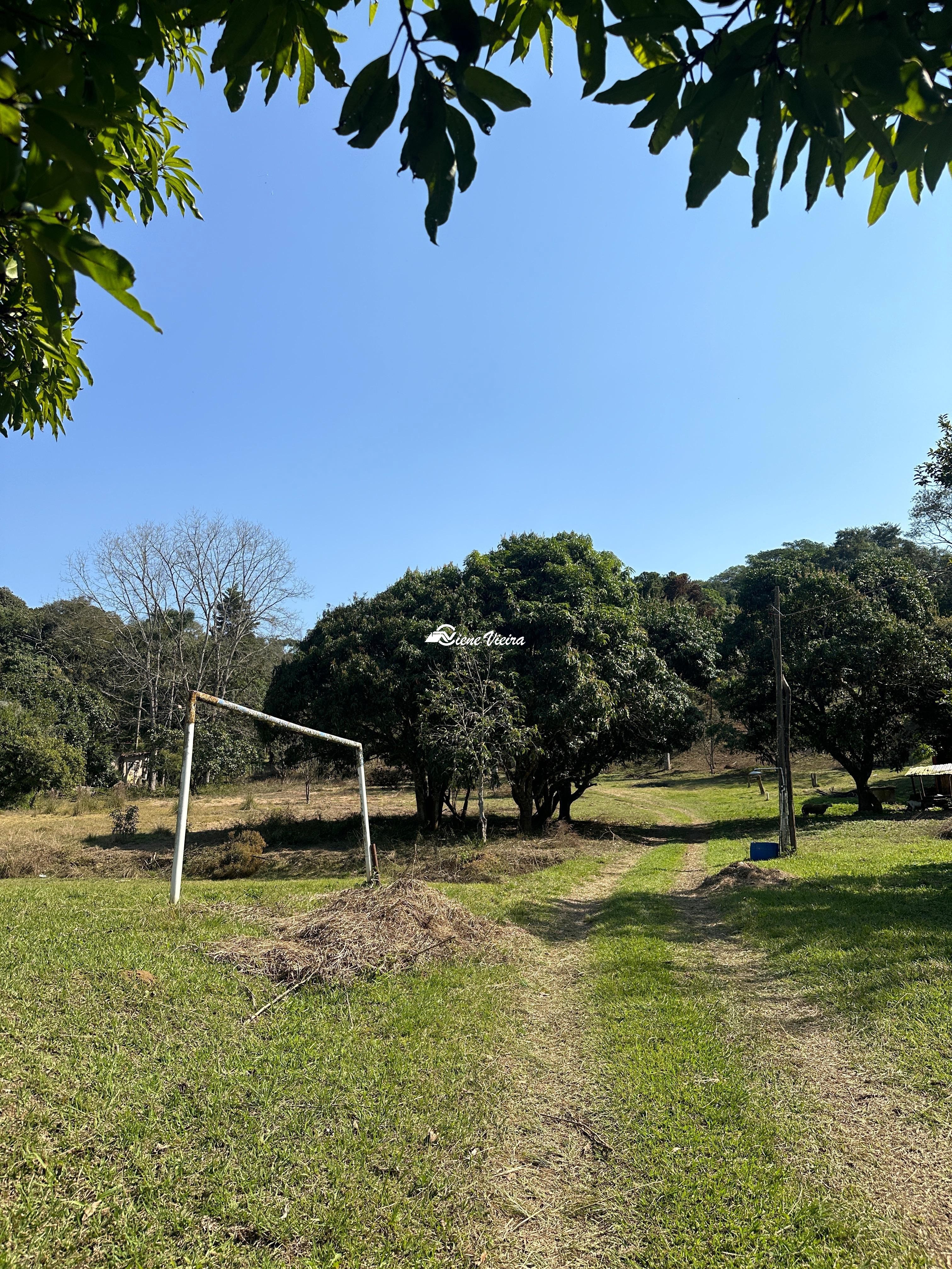 Chácara, 2 quartos, 3 hectares - Foto 13