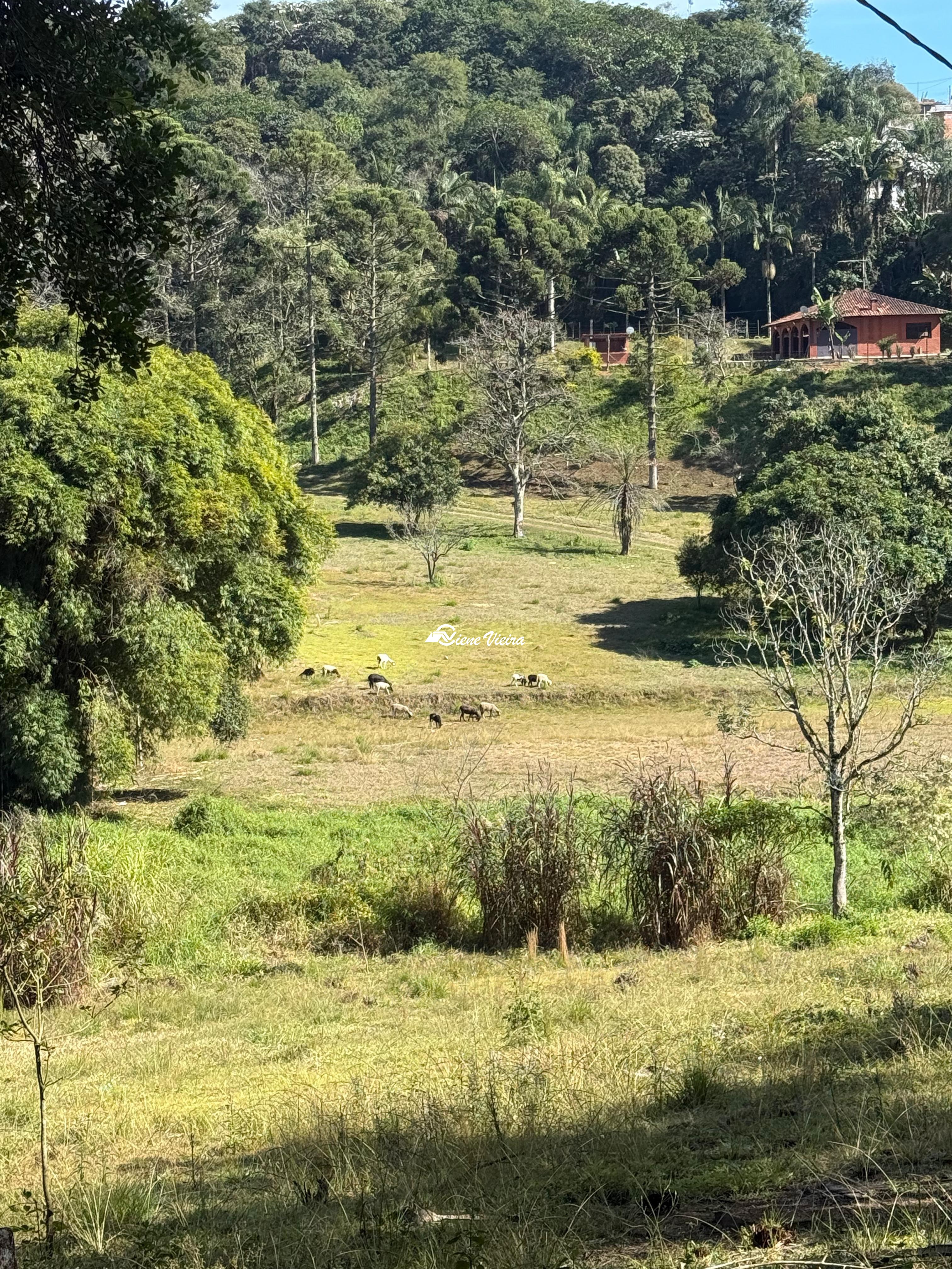 Chácara, 2 quartos, 3 hectares - Foto 11