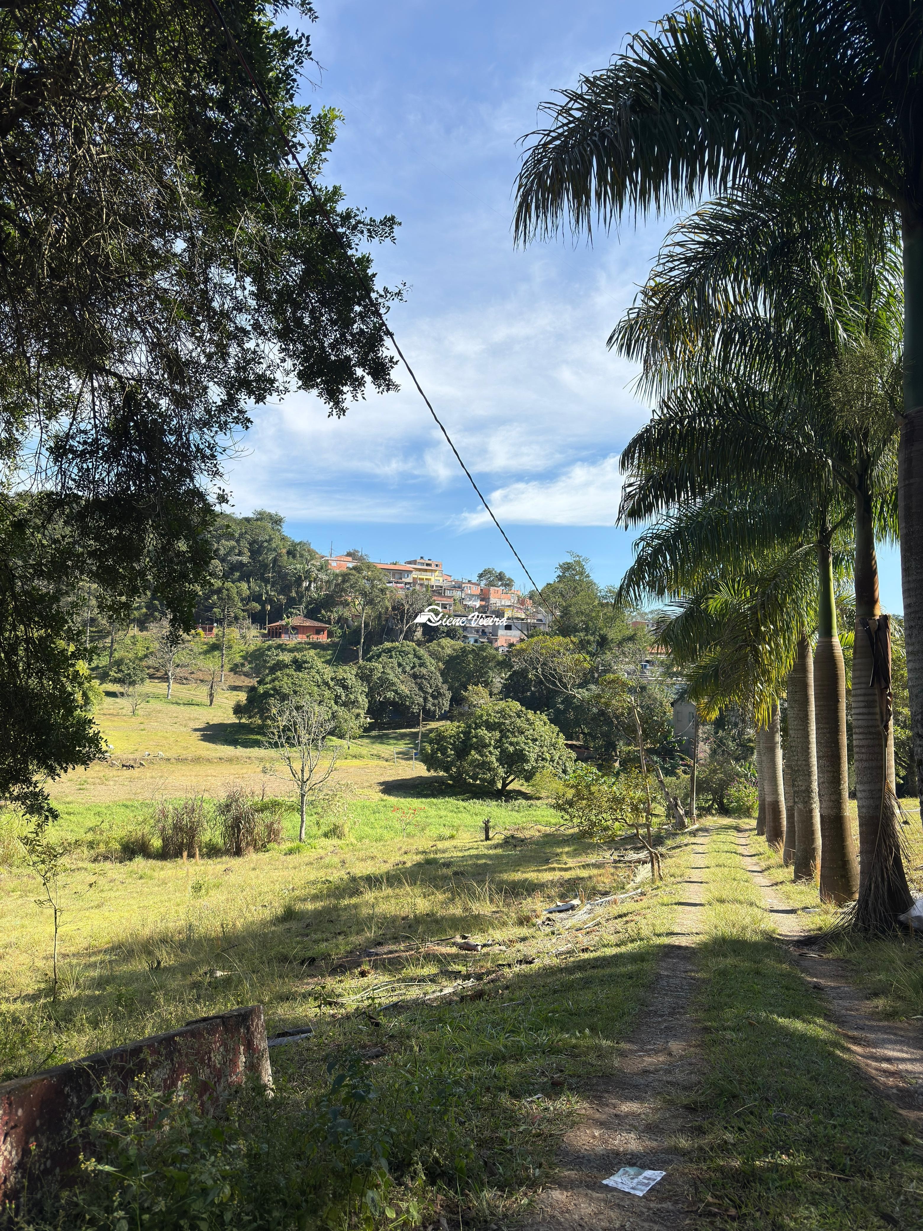 Chácara, 2 quartos, 3 hectares - Foto 8