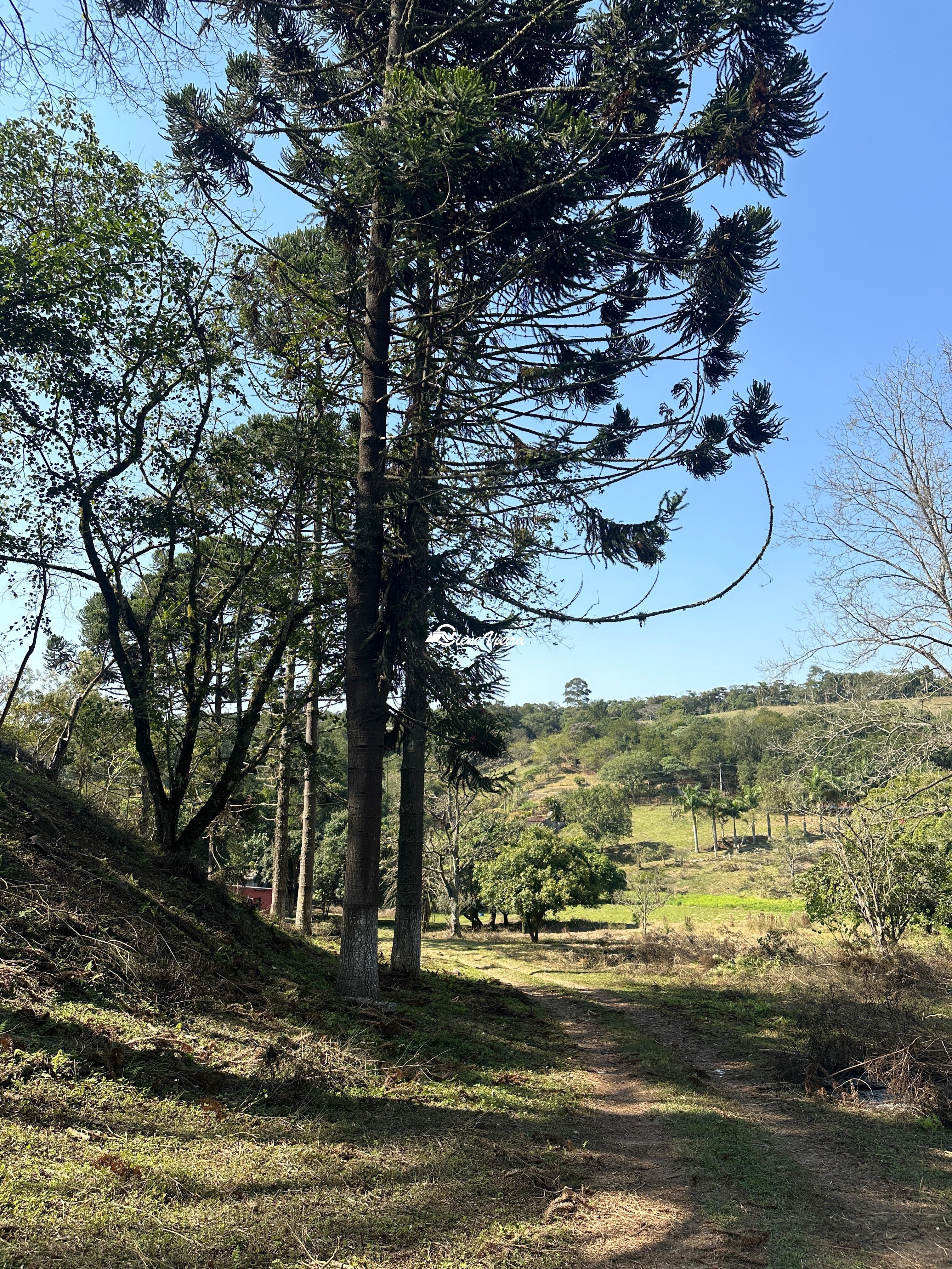 Chácara, 2 quartos, 3 hectares - Foto 12