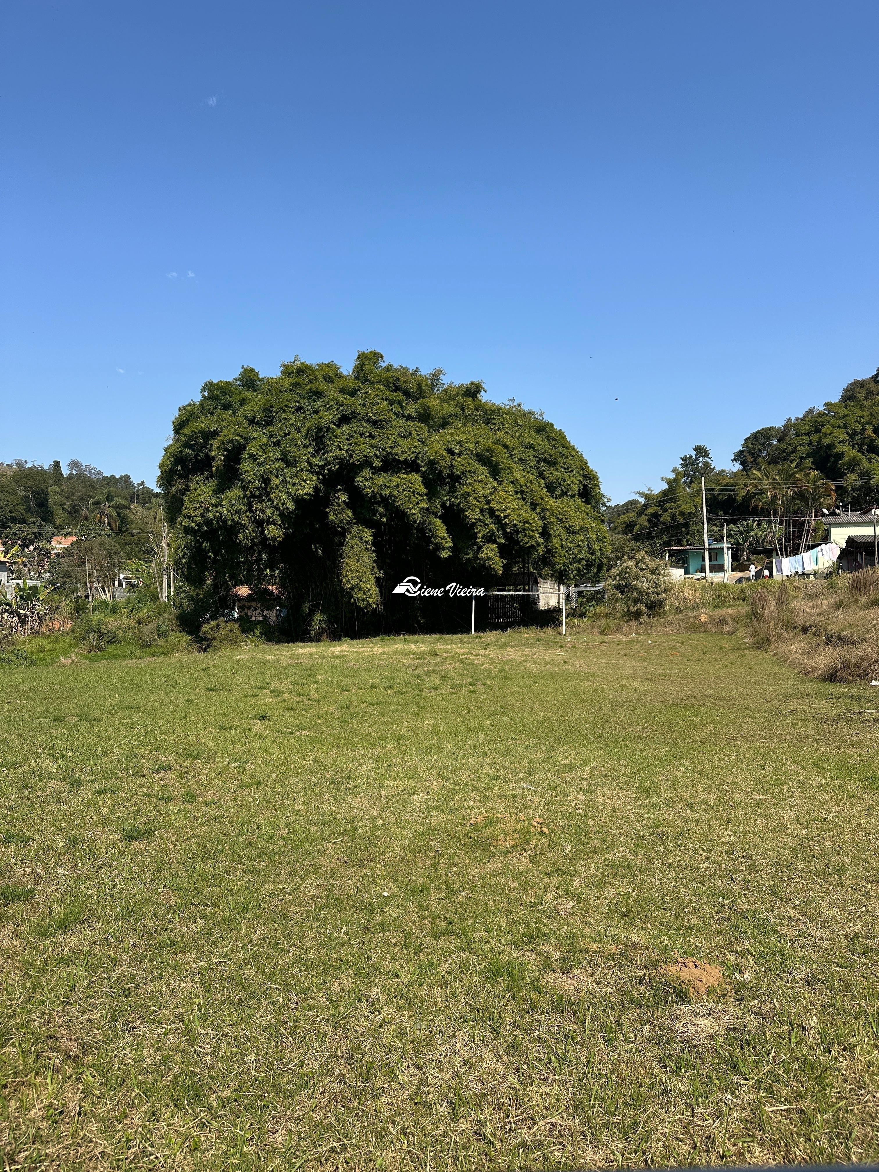 Chácara, 2 quartos, 3 hectares - Foto 17