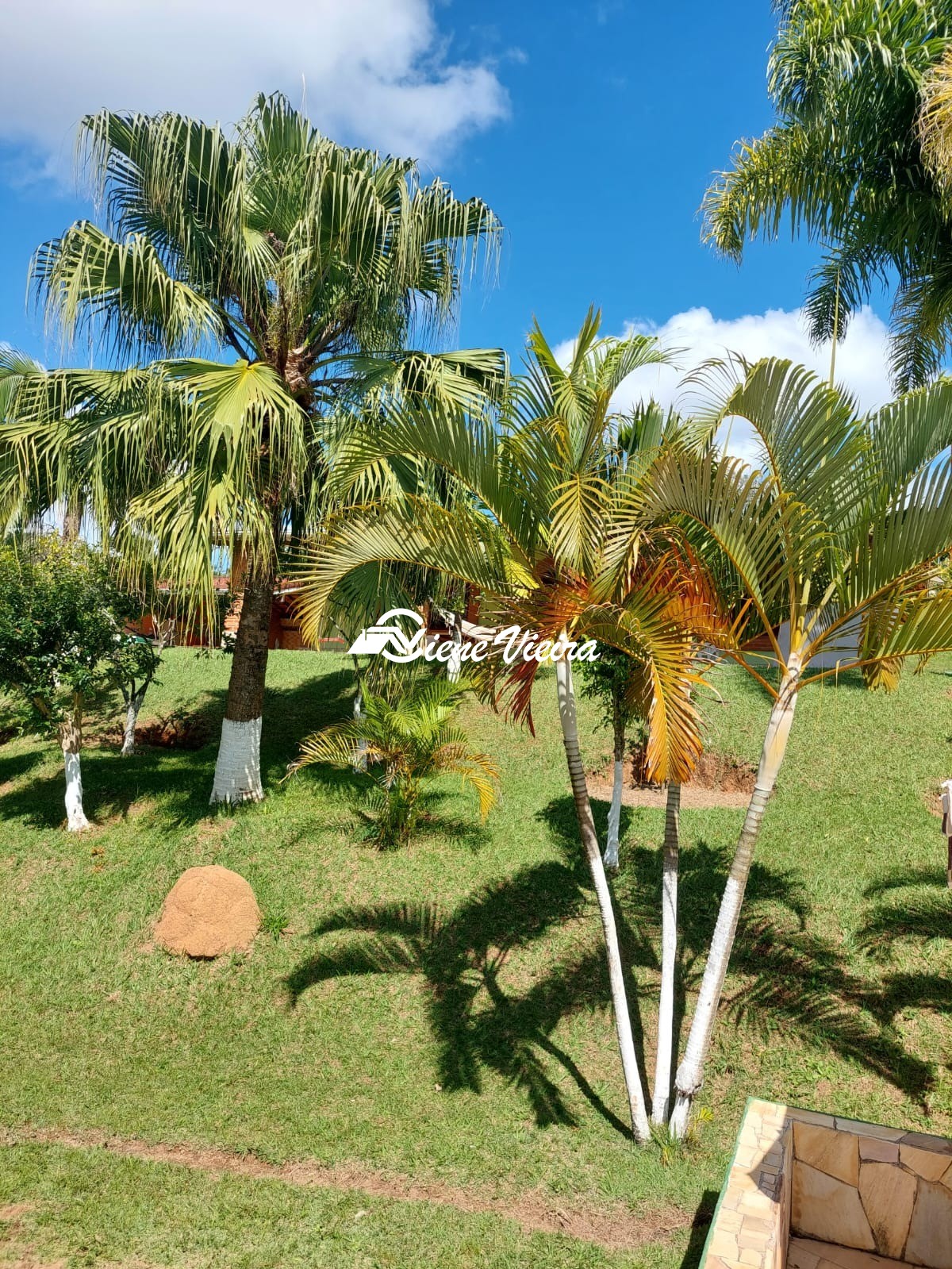 Chácara, 3 quartos, 2040 m² - Foto 11