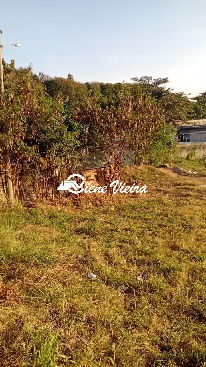 Terreno, 5000 m² - Foto 8