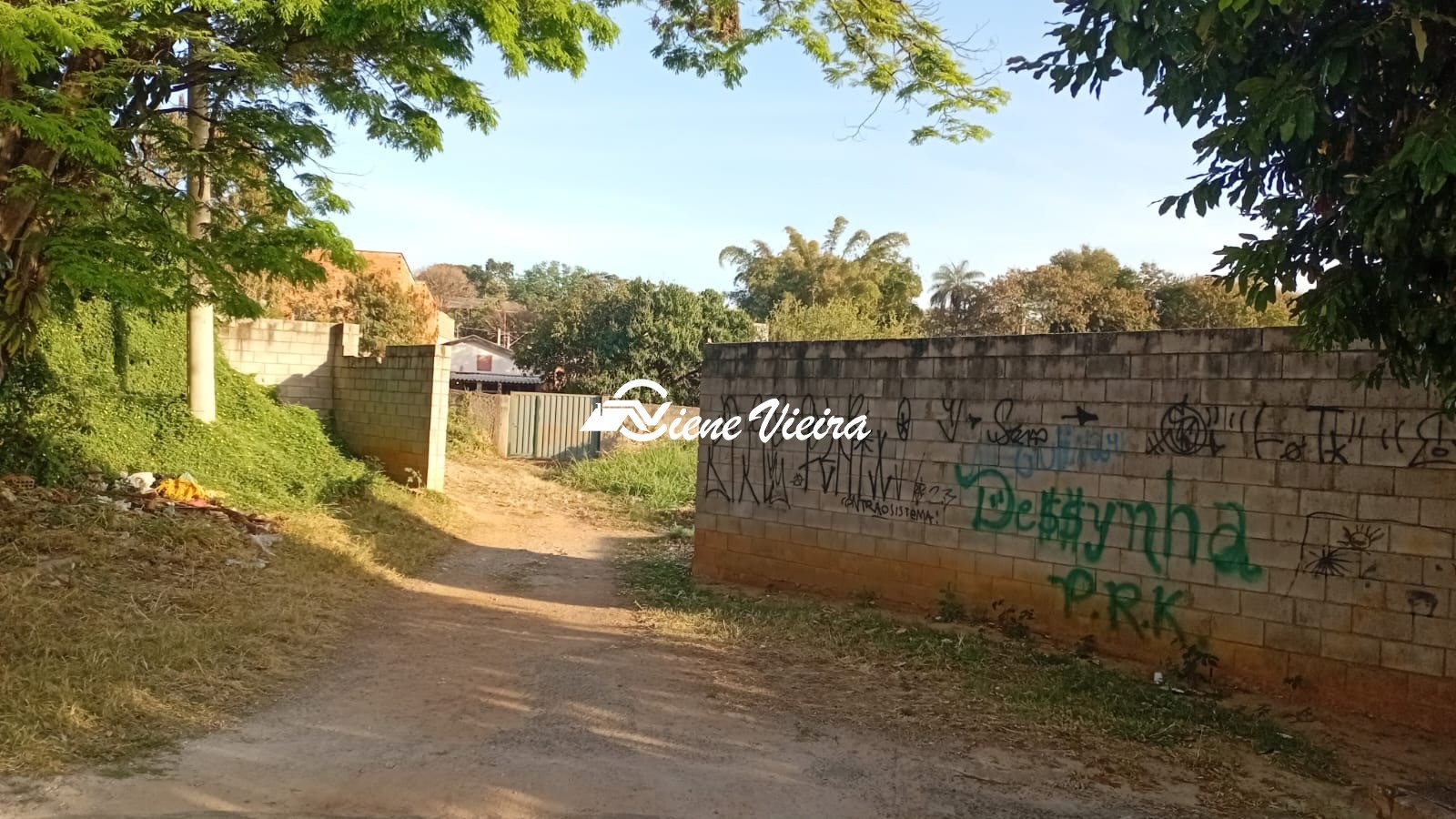 Terreno, 5000 m² - Foto 6