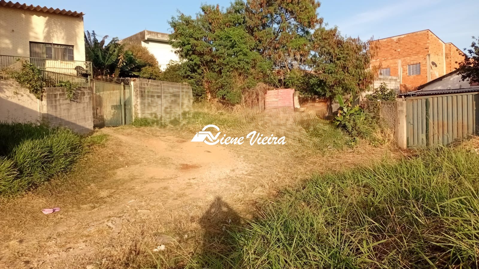 Terreno, 5000 m² - Foto 5