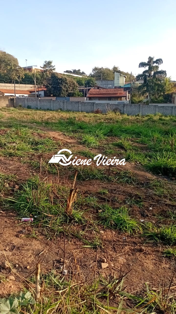 Terreno, 5000 m² - Foto 11