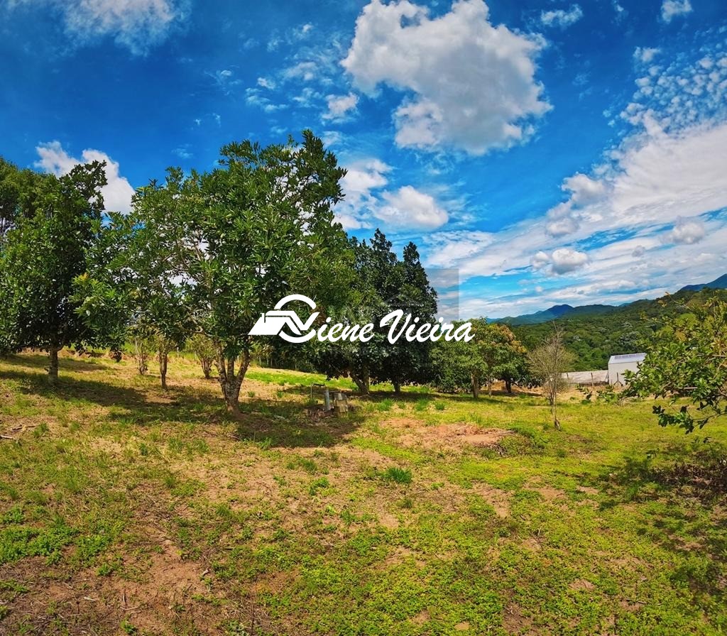 Chácara, 6 quartos, 6000 m² - Foto 34
