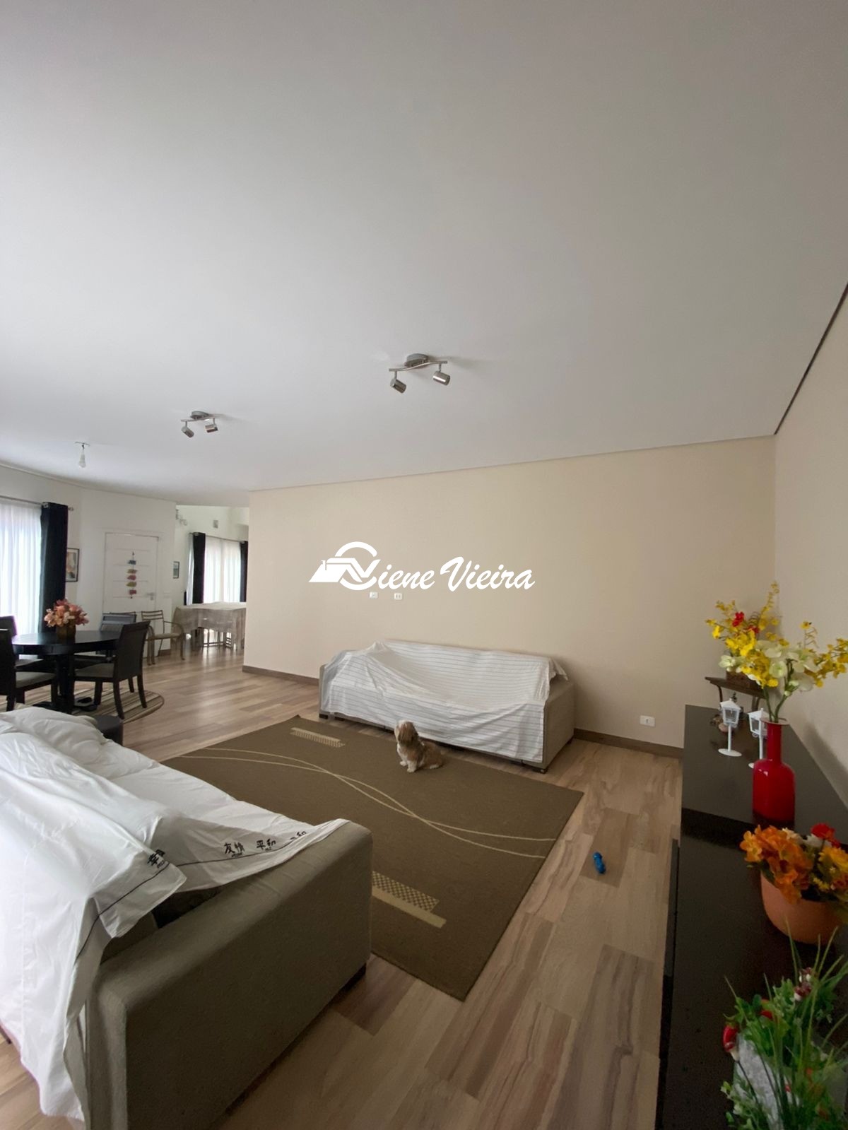 Chácara, 6 quartos, 6000 m² - Foto 12