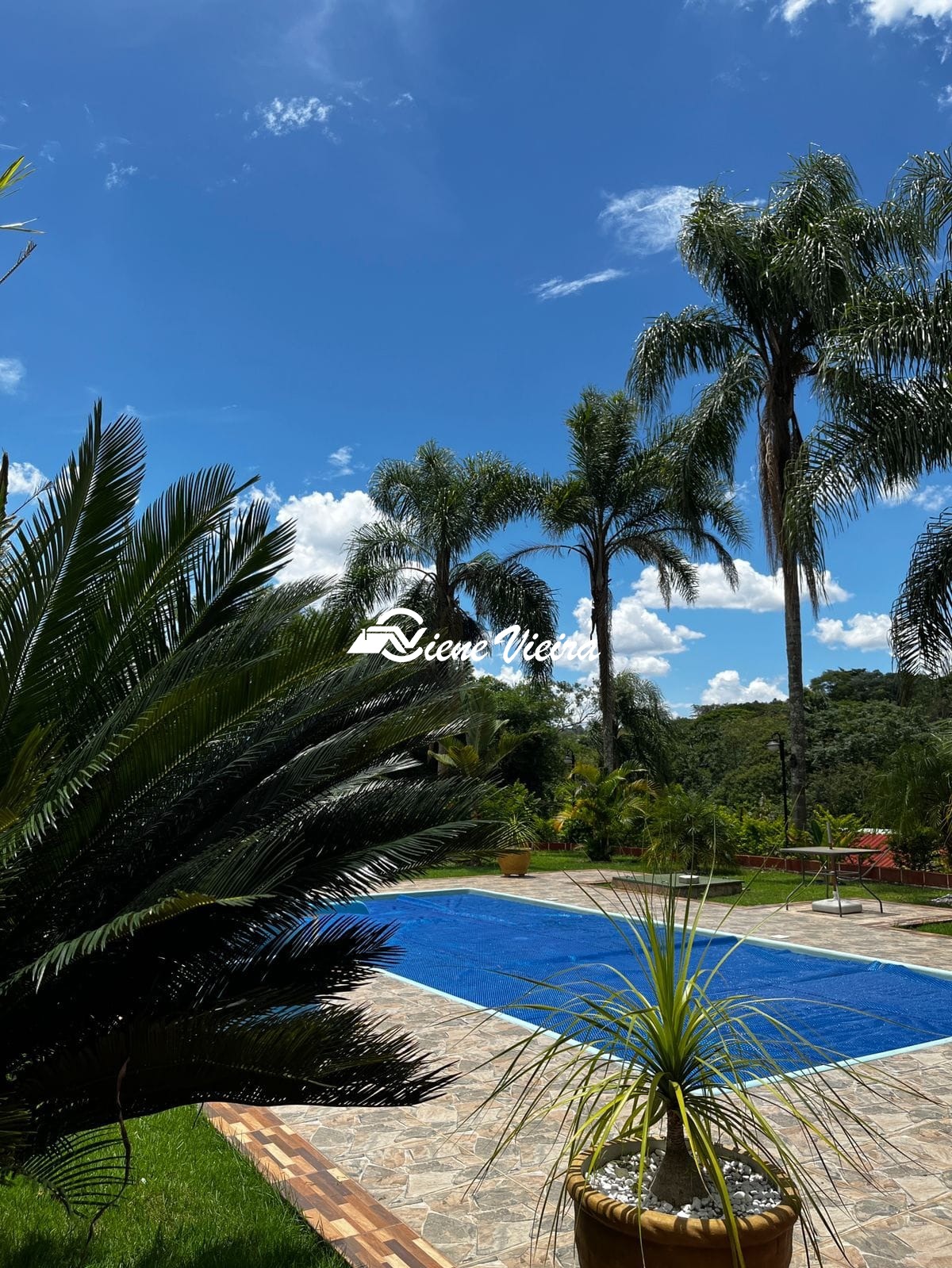 Chácara, 3 quartos, 4000 m² - Foto 6
