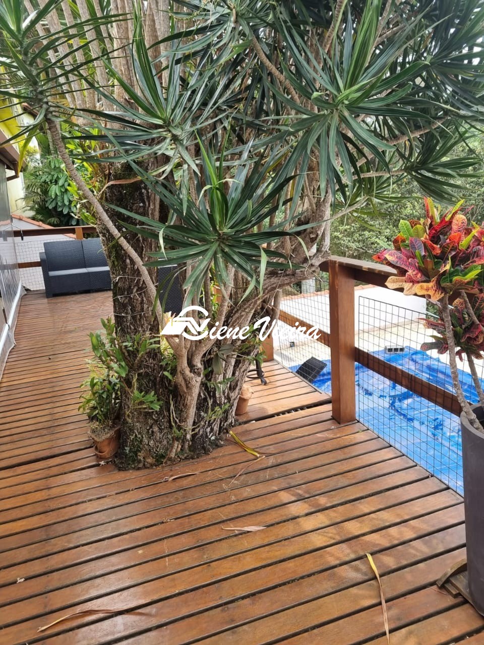 Chácara, 3 quartos, 1000 m² - Foto 3