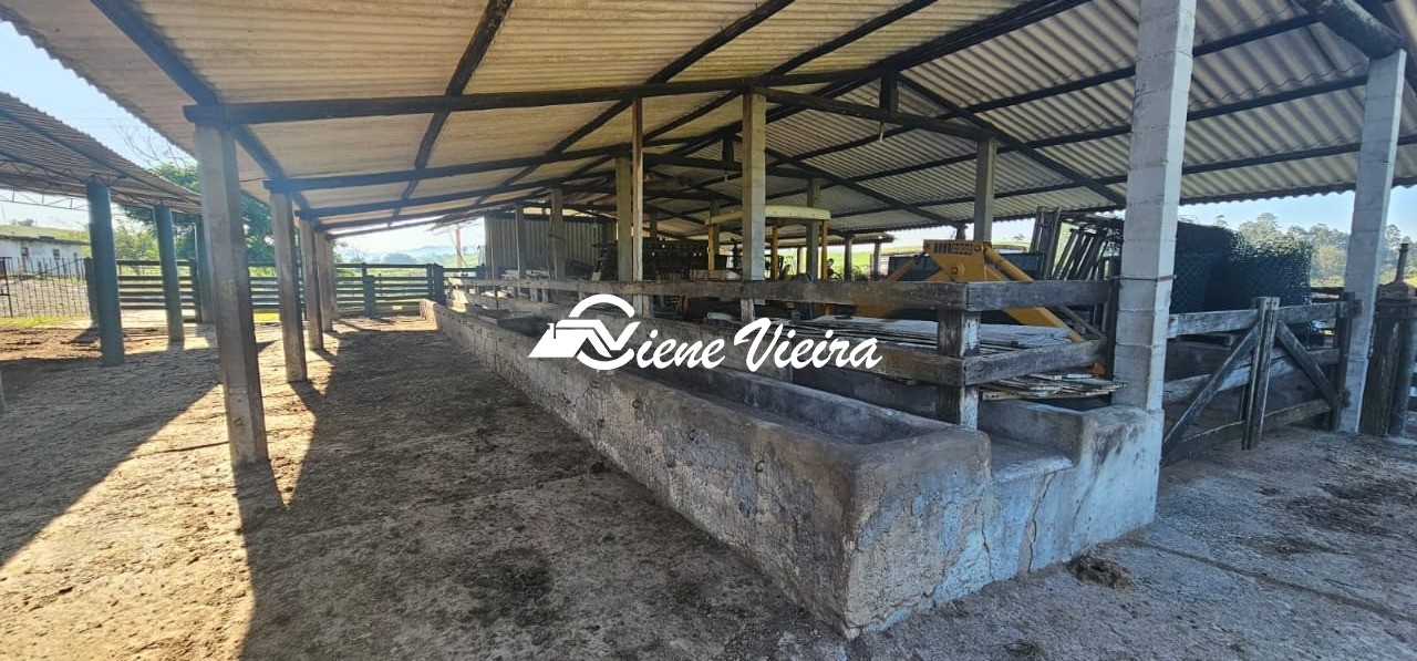Chácara, 4 quartos, 24 hectares - Foto 27