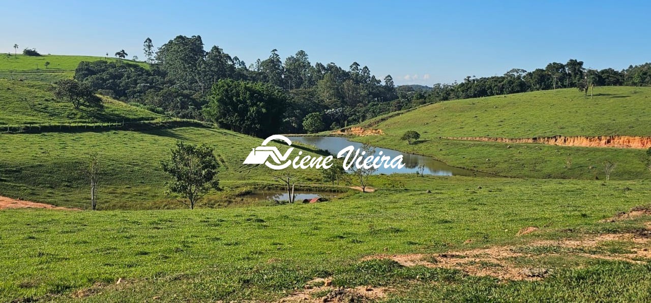 Chácara, 4 quartos, 24 hectares - Foto 16