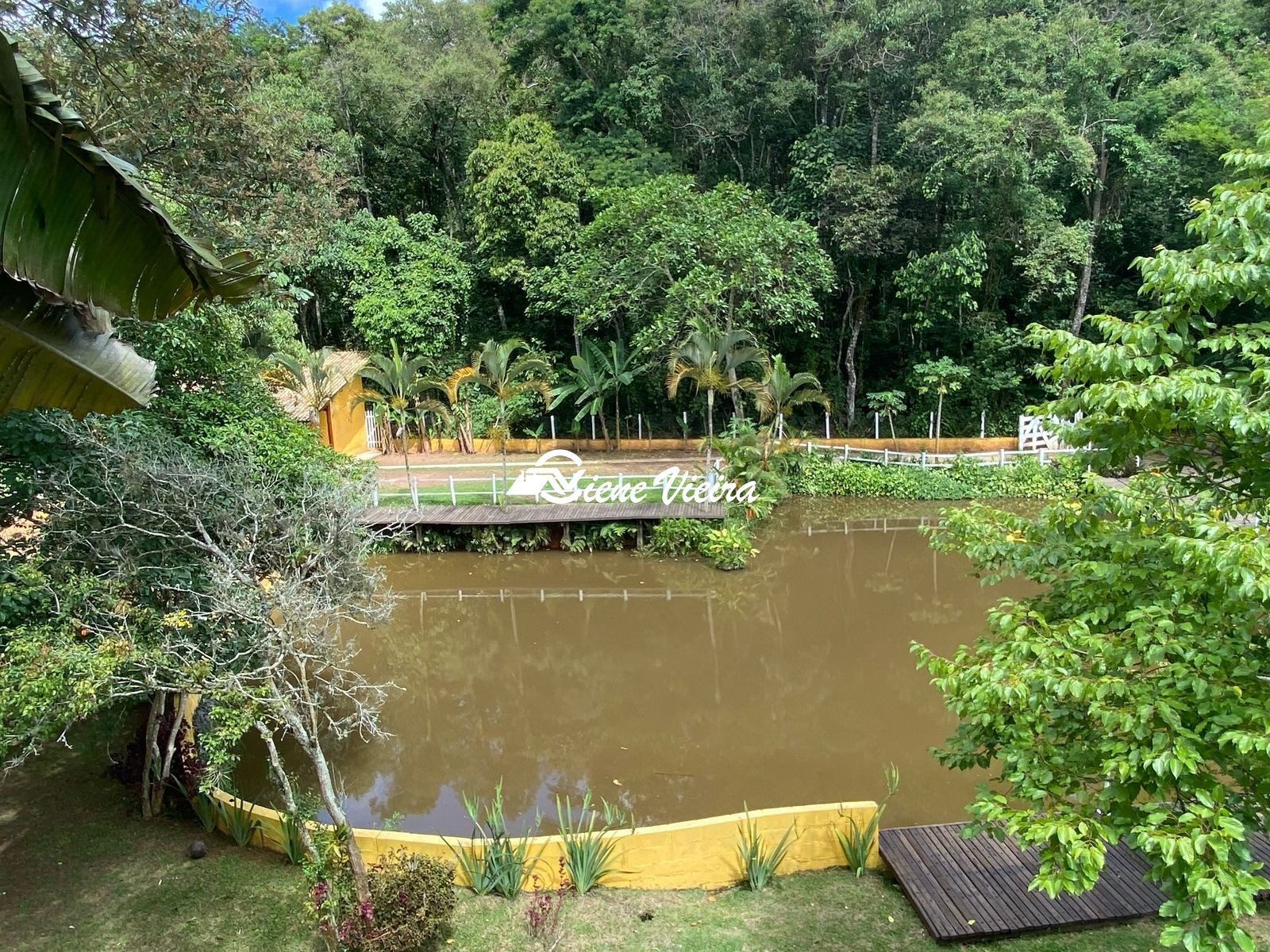 Chácara, 3 quartos, 6500 m² - Foto 12