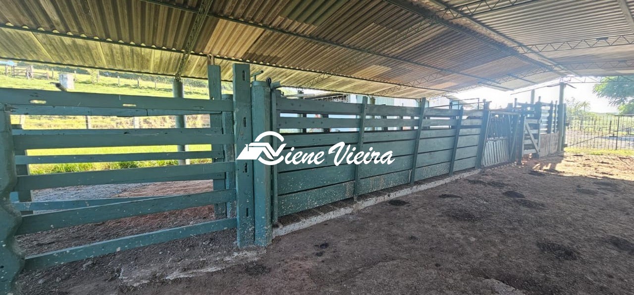 Chácara, 4 quartos, 24 hectares - Foto 25