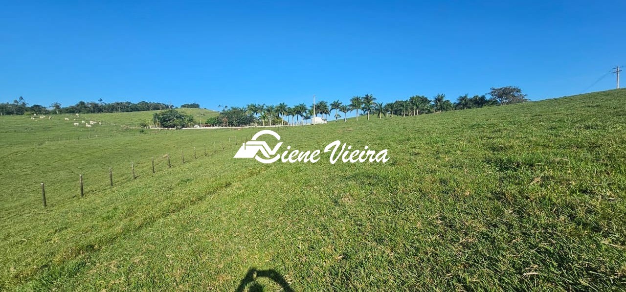 Chácara, 4 quartos, 24 hectares - Foto 14
