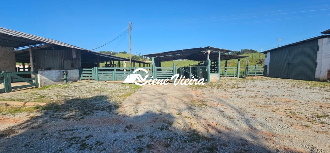 Chácara, 4 quartos, 24 hectares - Foto 24