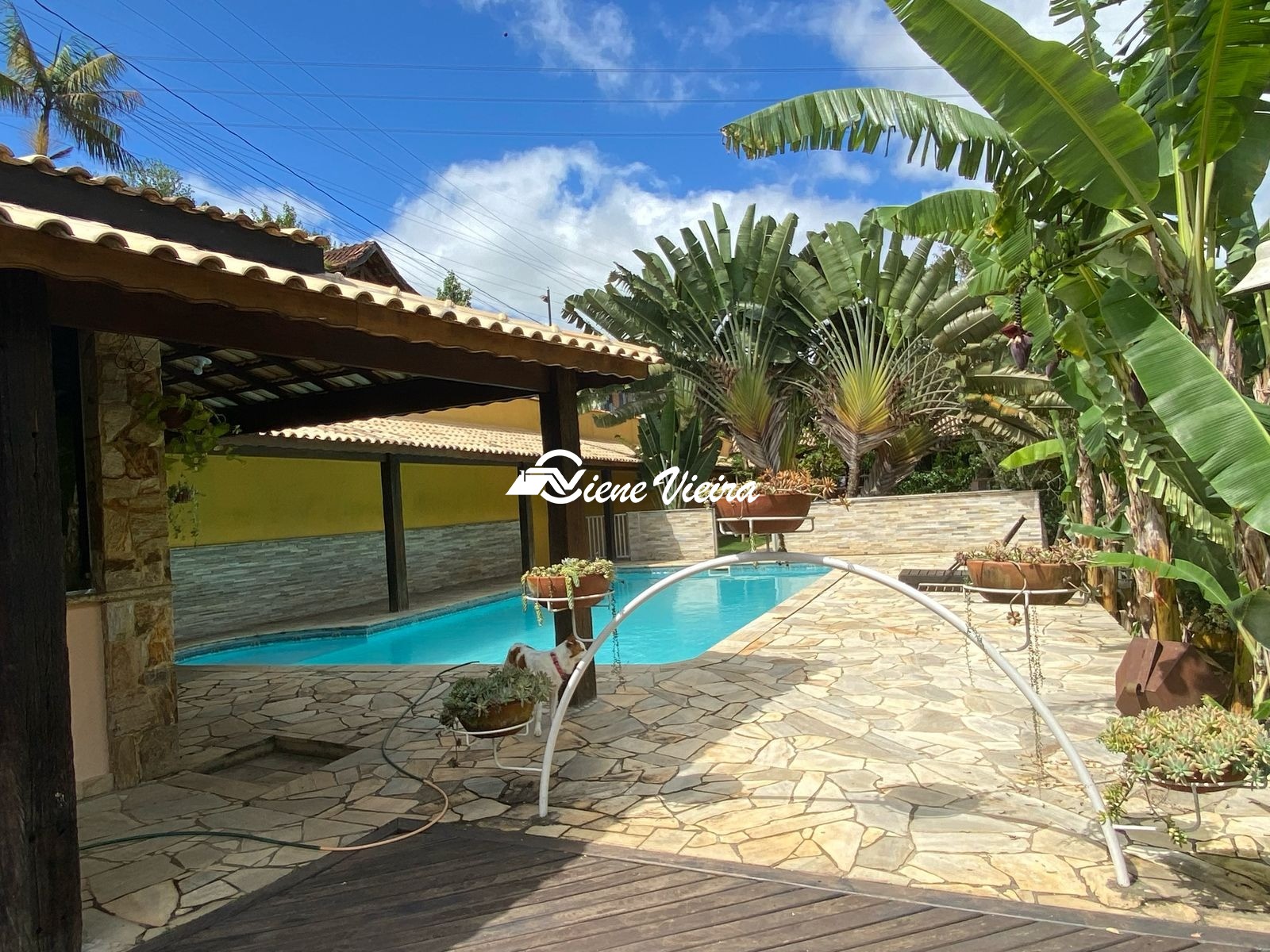 Chácara, 3 quartos, 6500 m² - Foto 8