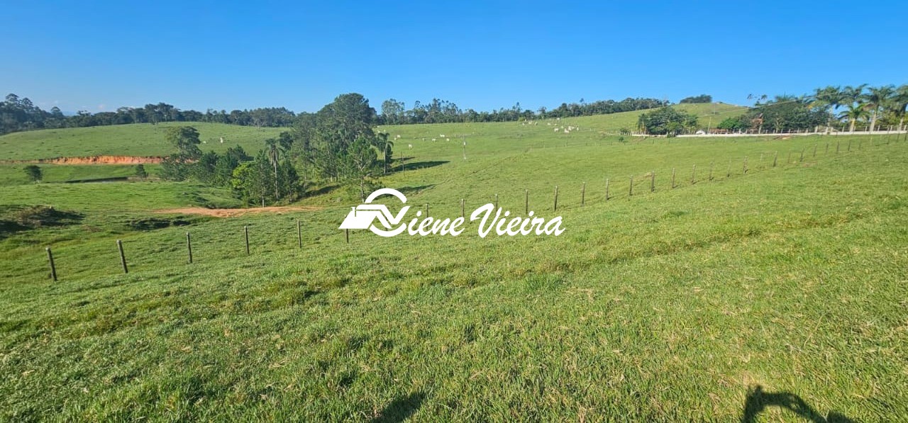 Chácara, 4 quartos, 24 hectares - Foto 17