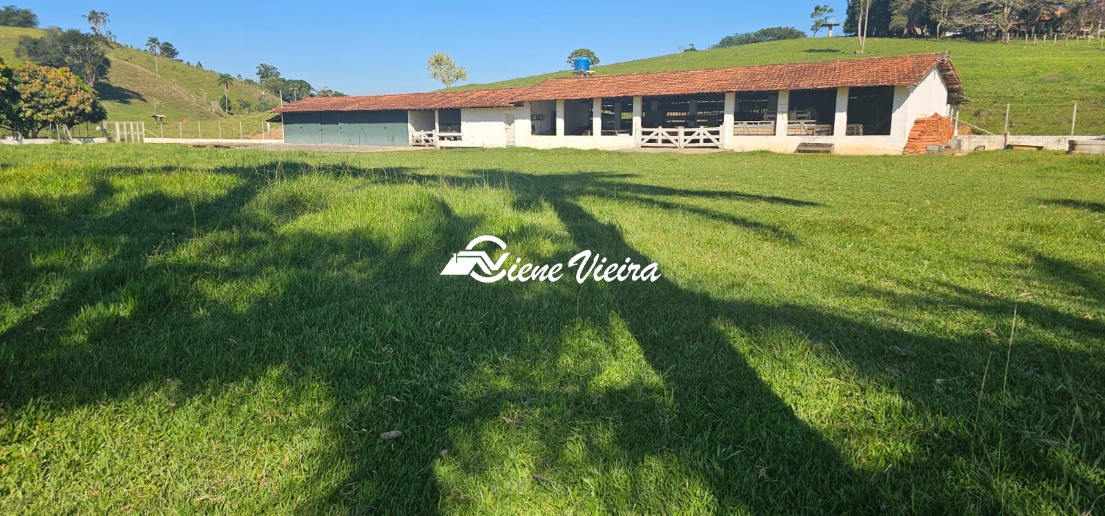 Chácara, 4 quartos, 24 hectares - Foto 3